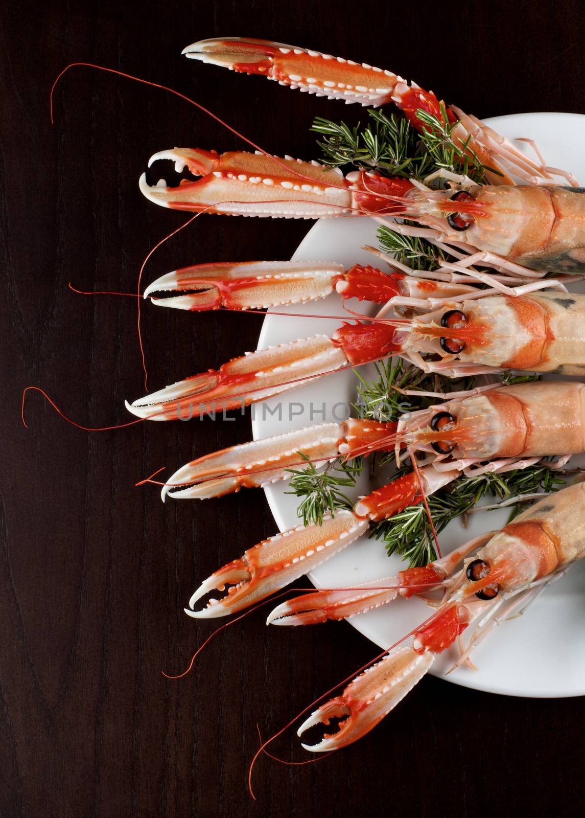 Delicious Raw Langoustines by zhekos