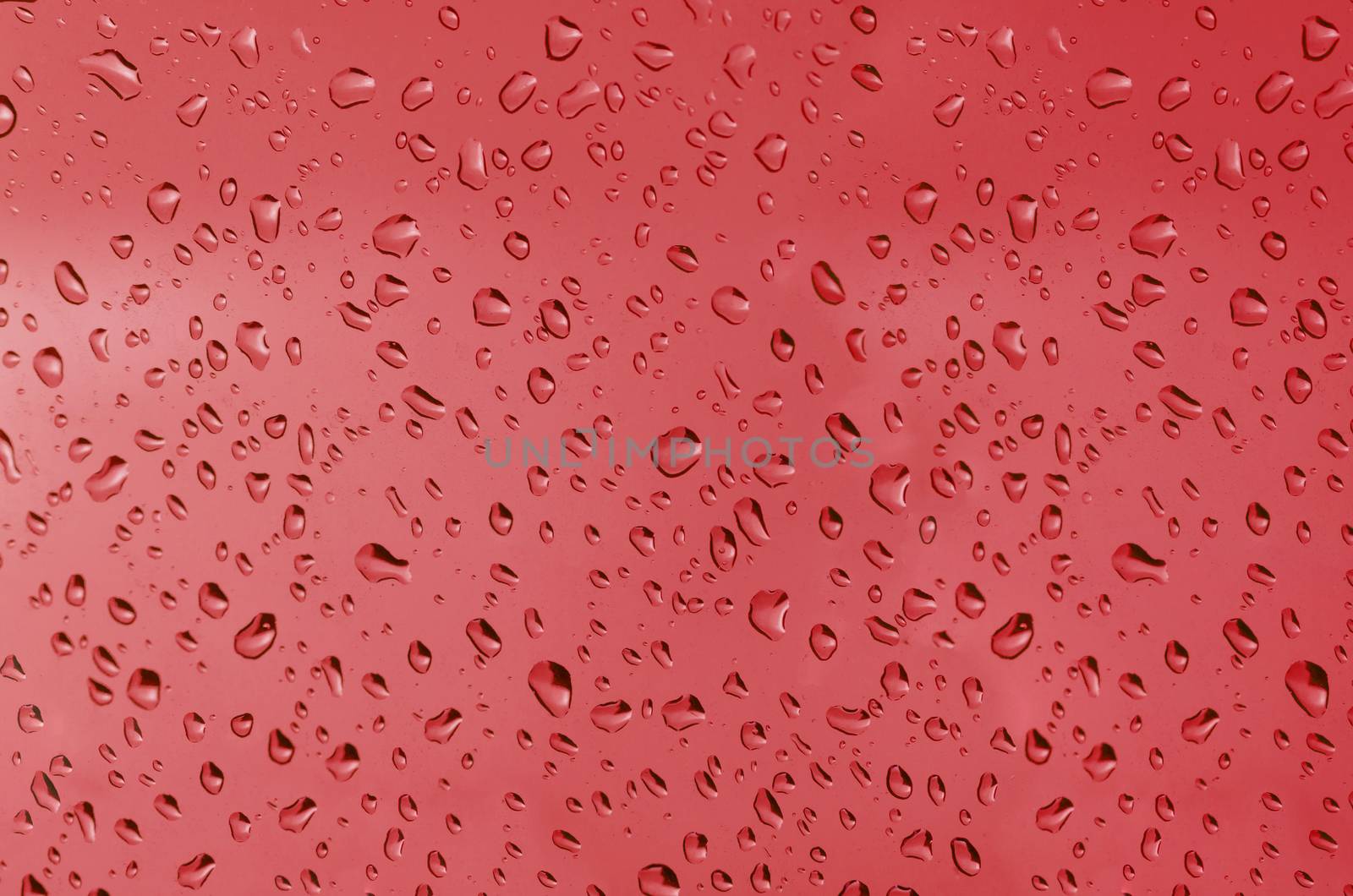 Water droplets on the glass with a colored background. Drops of water.