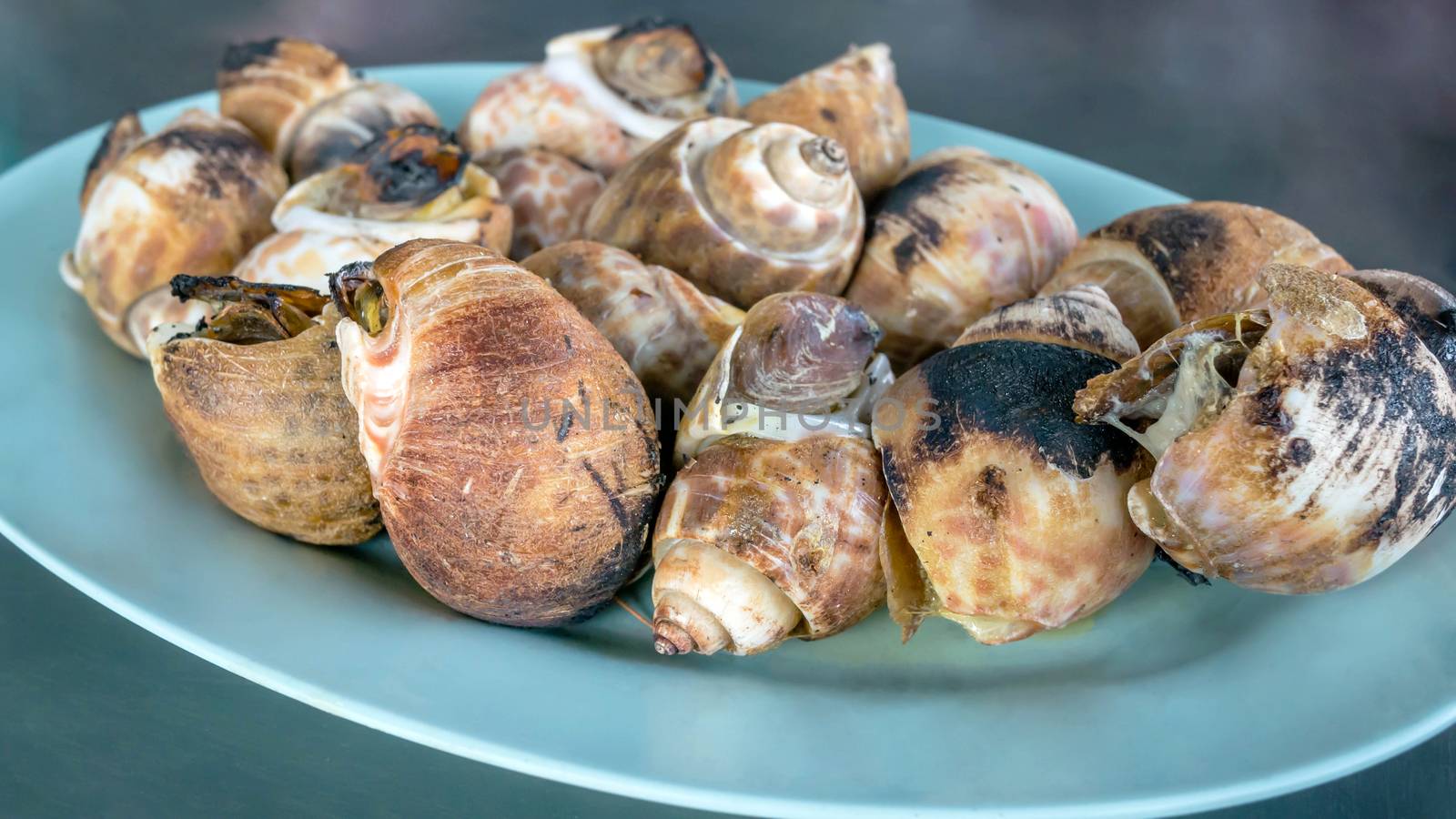 close up grilled spotted babylon on dish