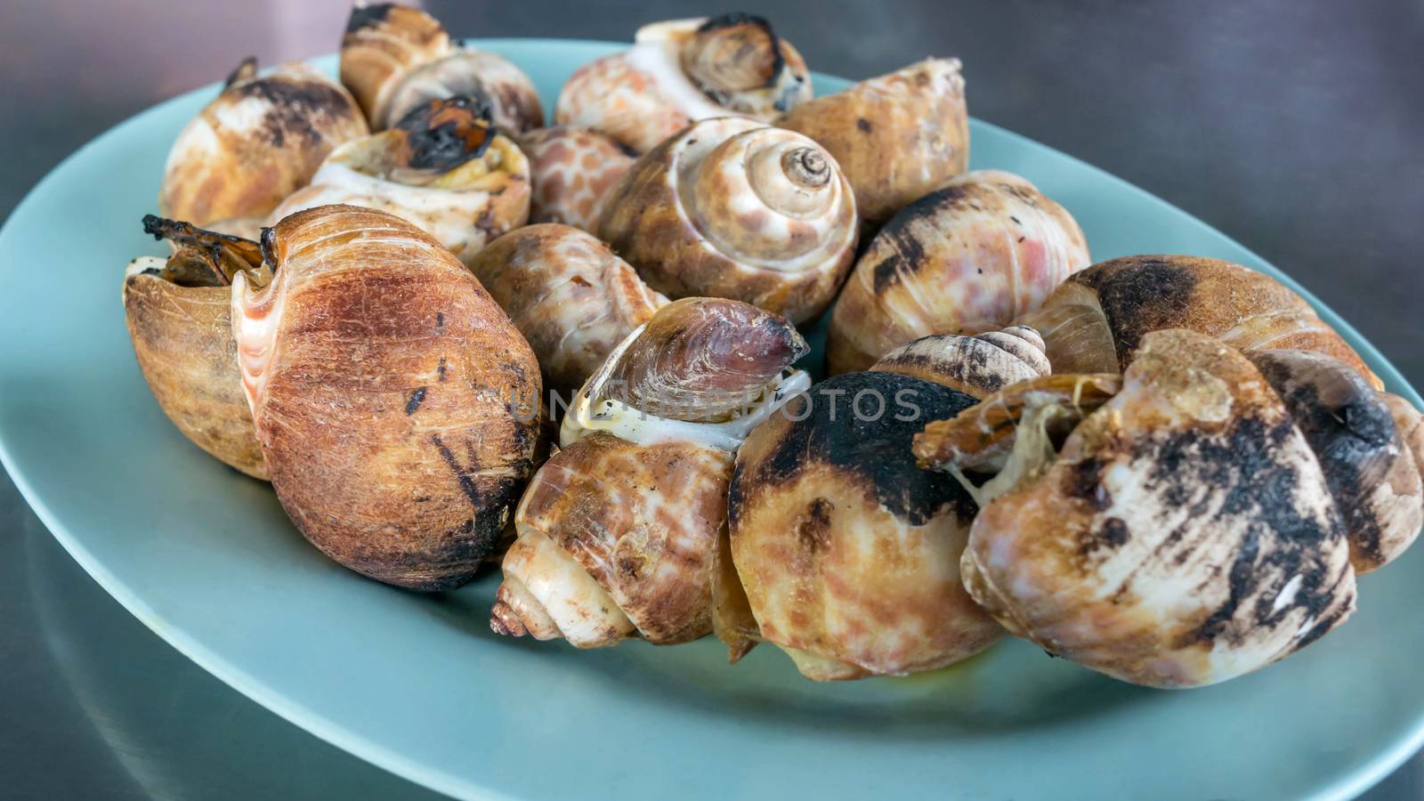 close up grilled spotted babylon on dish