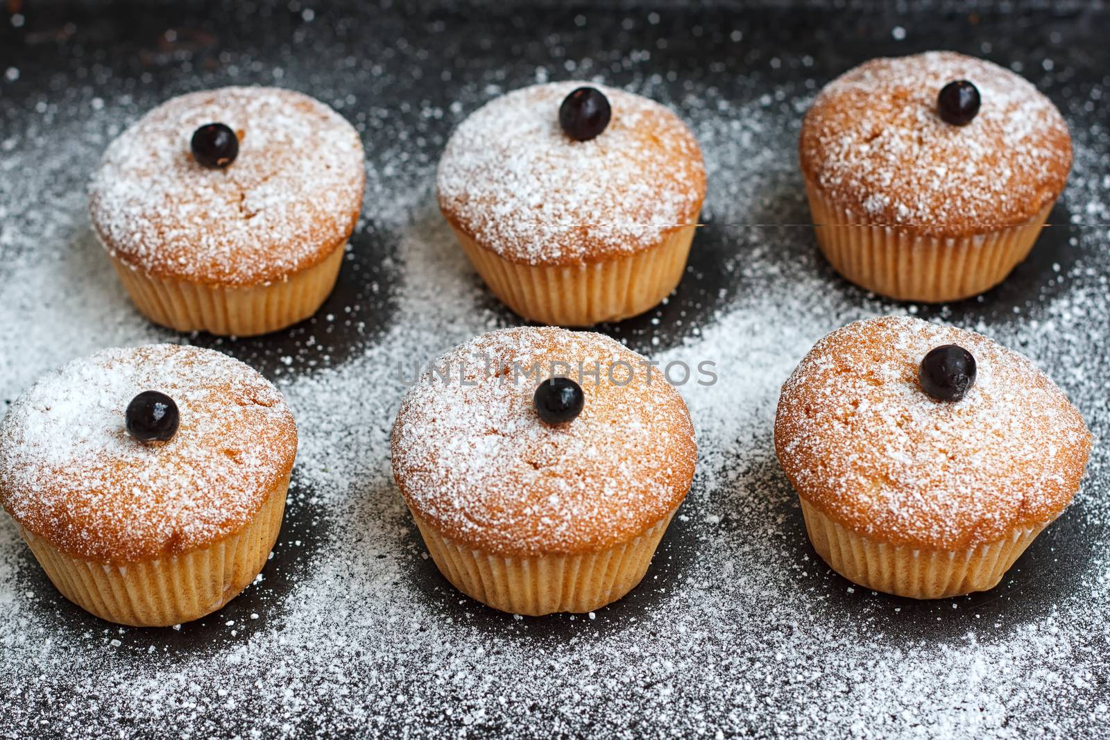 Muffins with black currant sprinkled with powdered sugar.