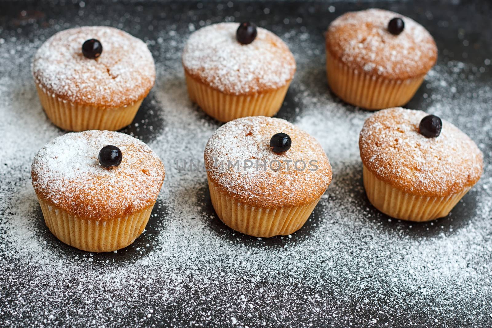 Muffins with black currant sprinkled with powdered sugar.