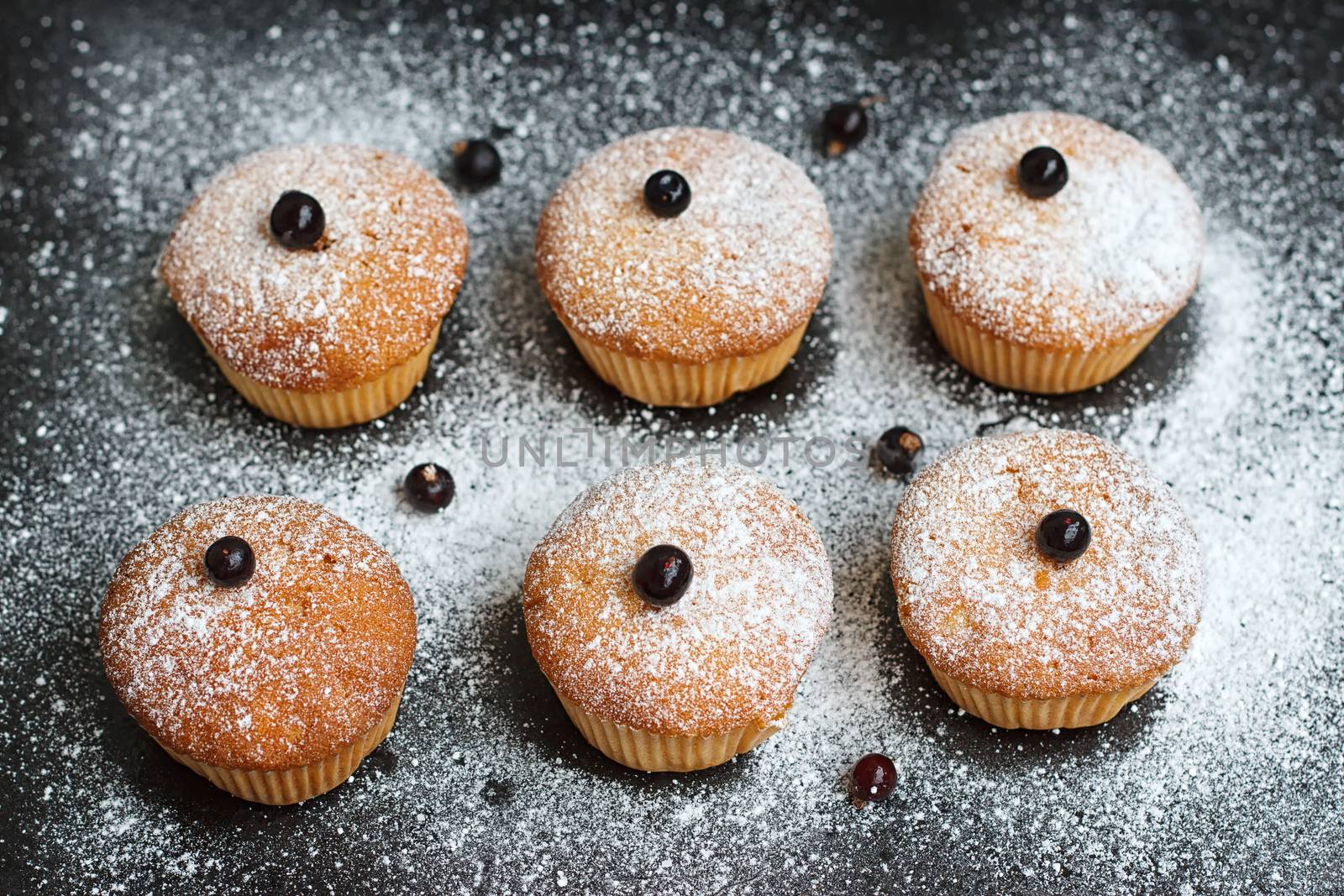 Muffins with black currant sprinkled with powdered sugar.