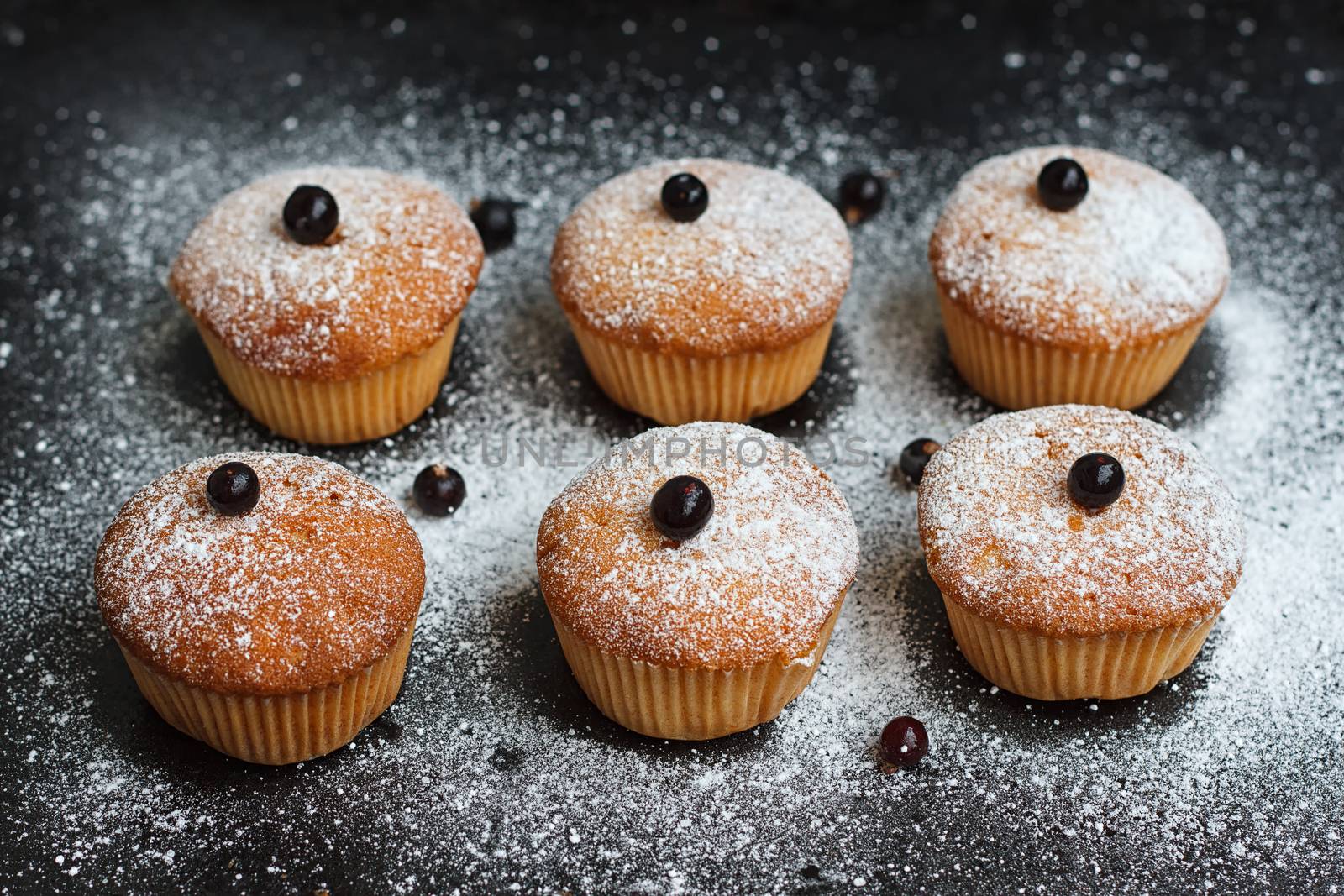 Muffins with black currant sprinkled with powdered sugar.