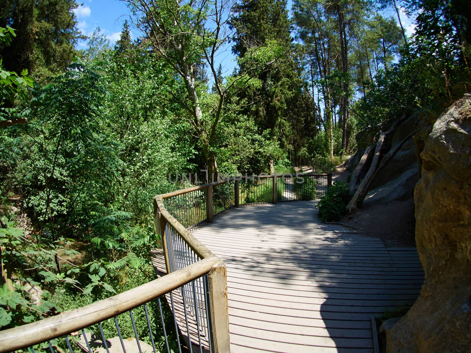 Beautiful small wooden bridge over a stream in a lush green forest