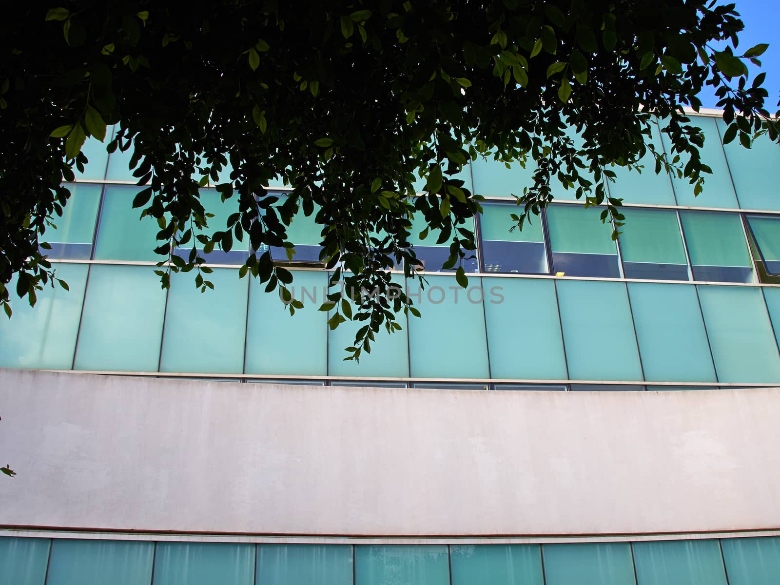 Details of abstract modern design building with glass clad facade