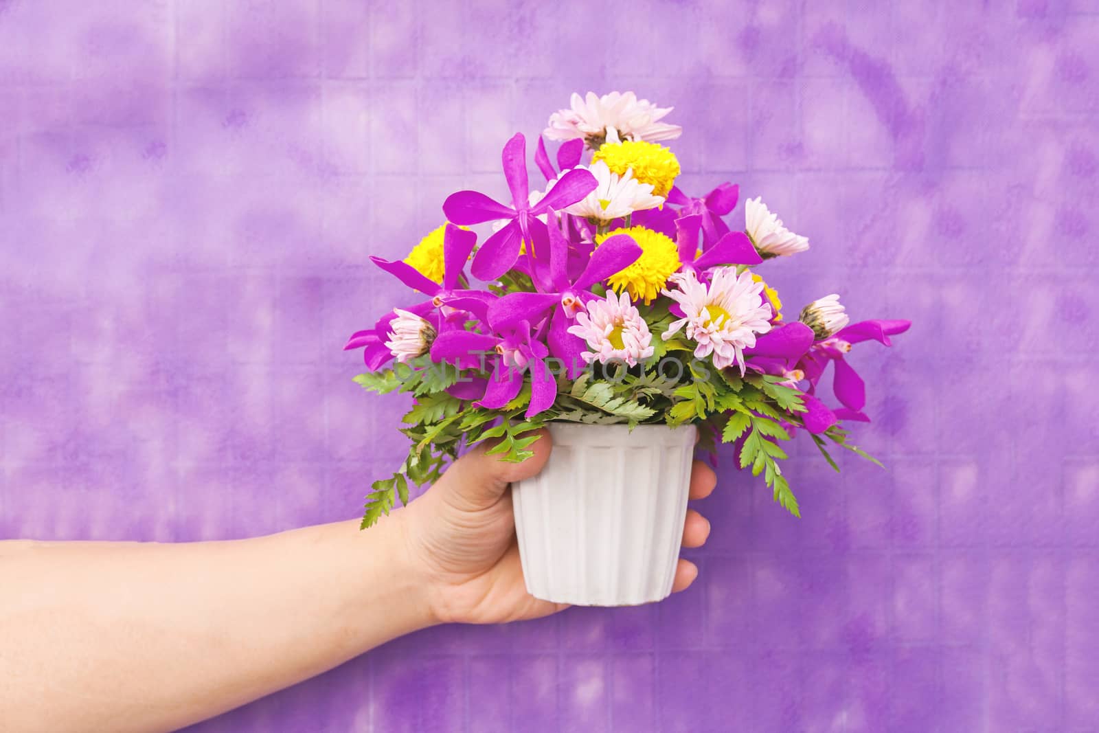 Hand holding bouquet of chrysanthemum and orchid flowers isolated on violet background.