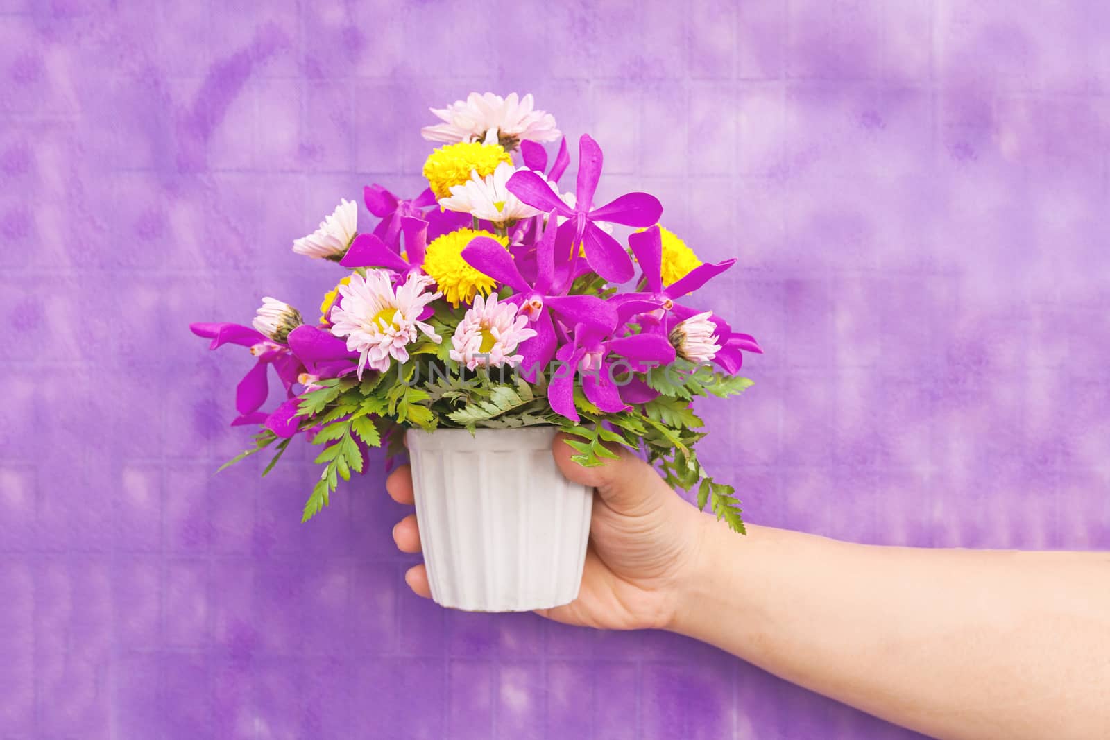 Hand holding bouquet of chrysanthemum and orchid flowers isolated on violet background.