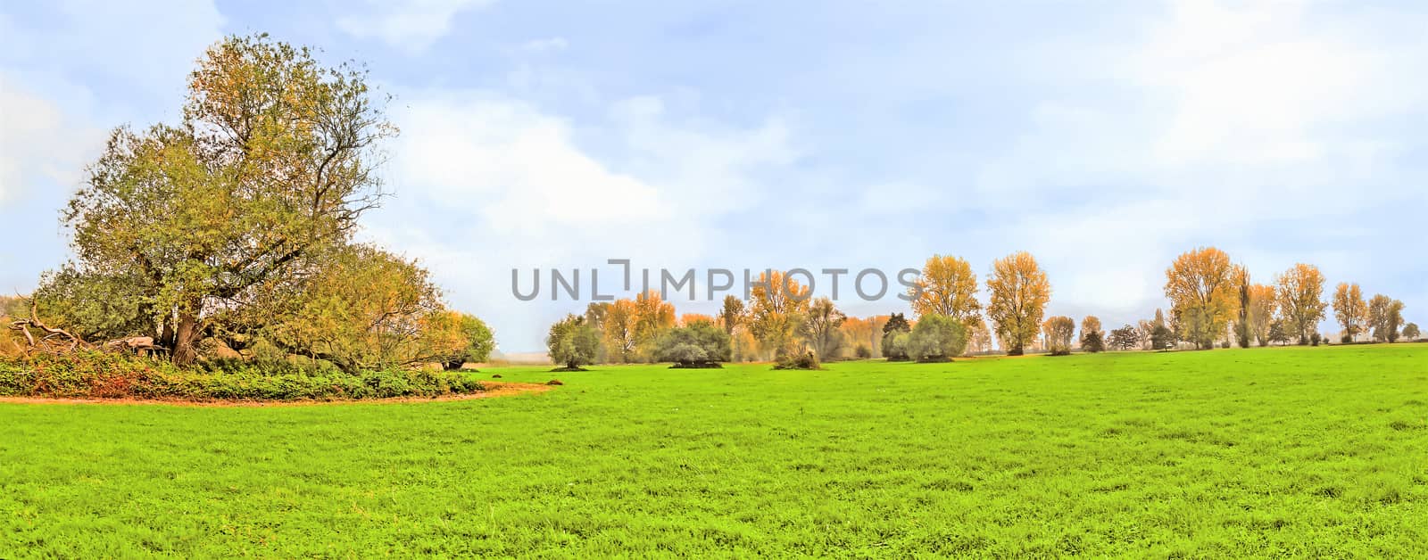 idyllic meadow by aldorado