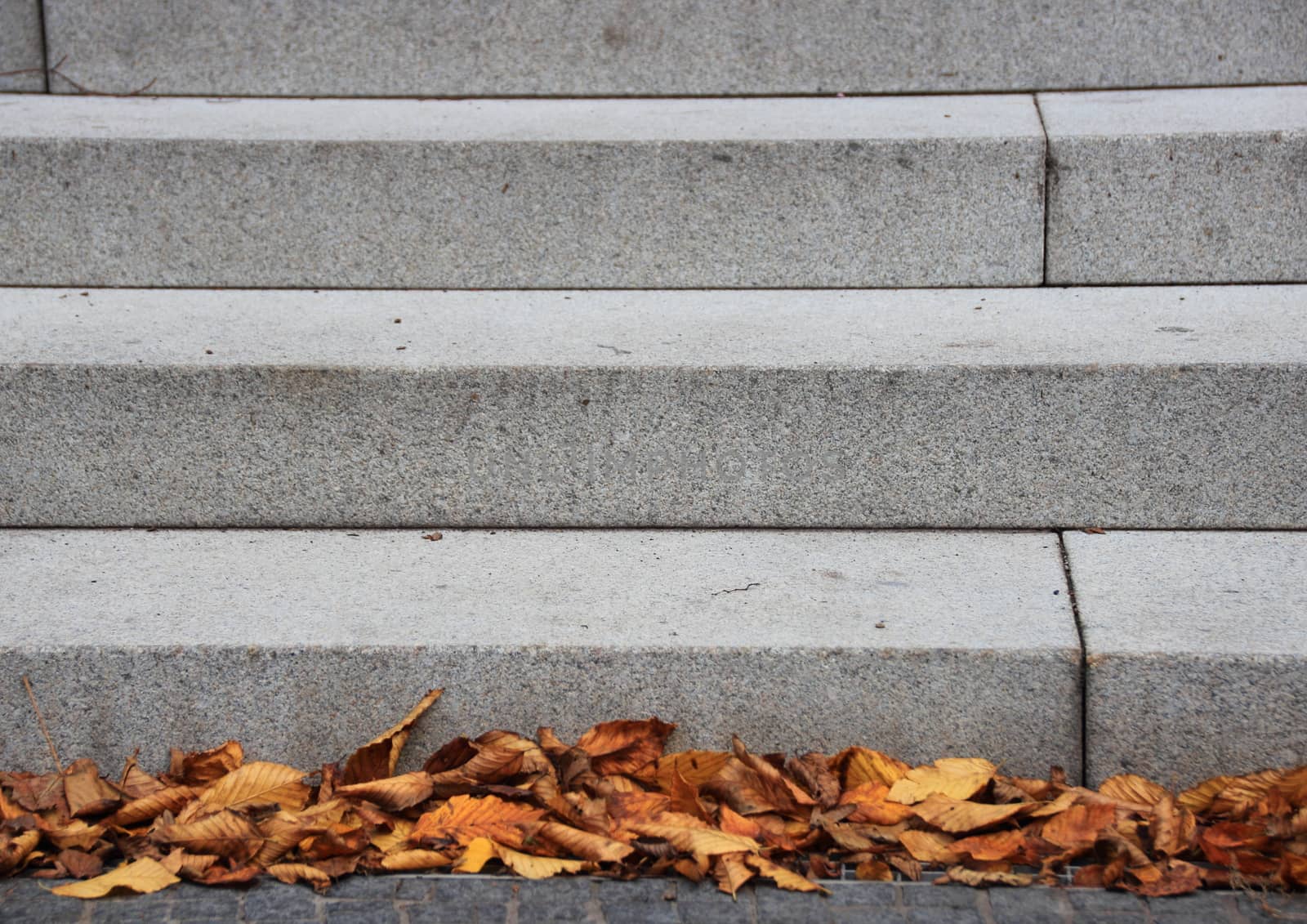 Granite stone stair with dead leaves in autumn