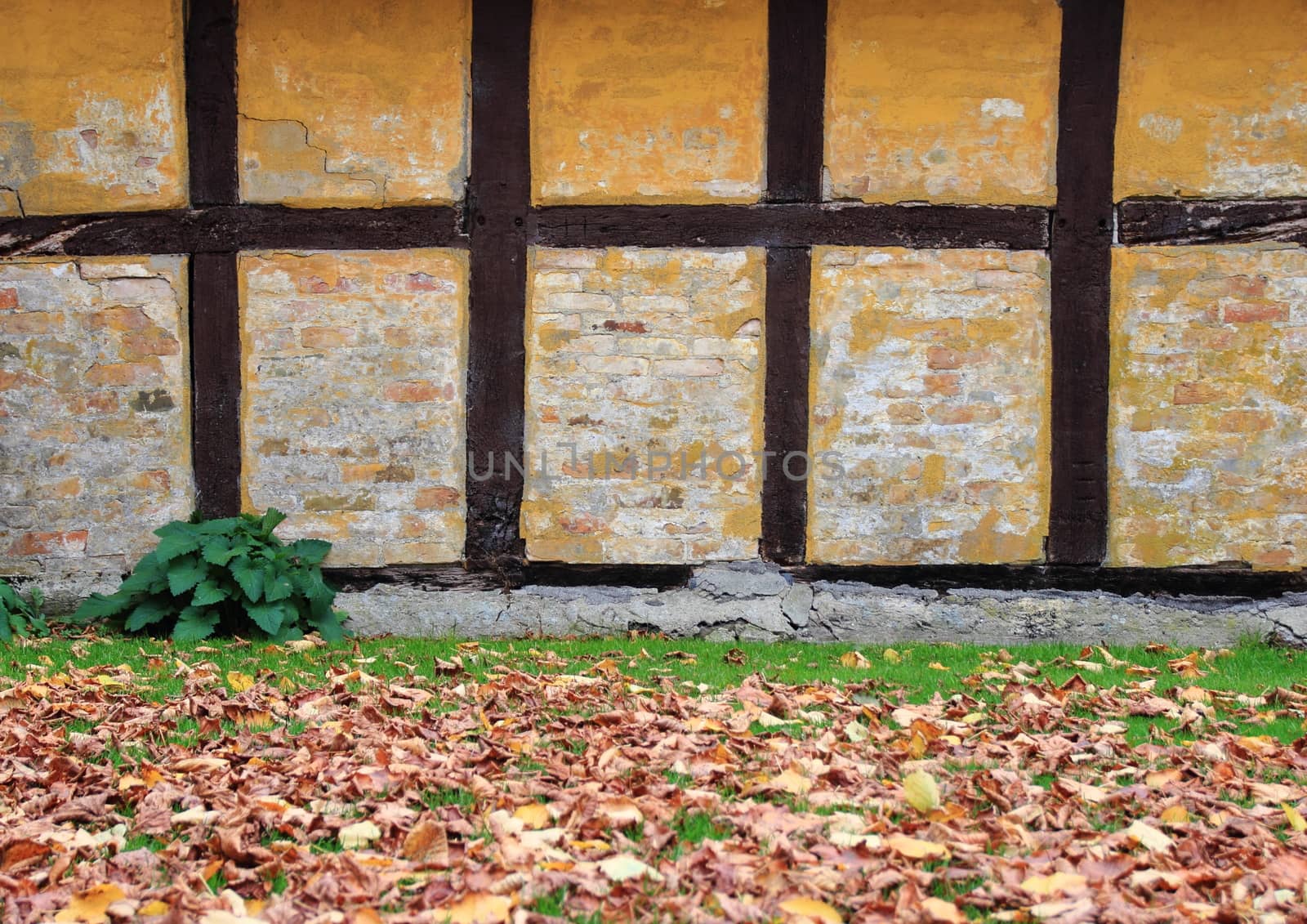 Worn half-timbered cottage house wall in autumn