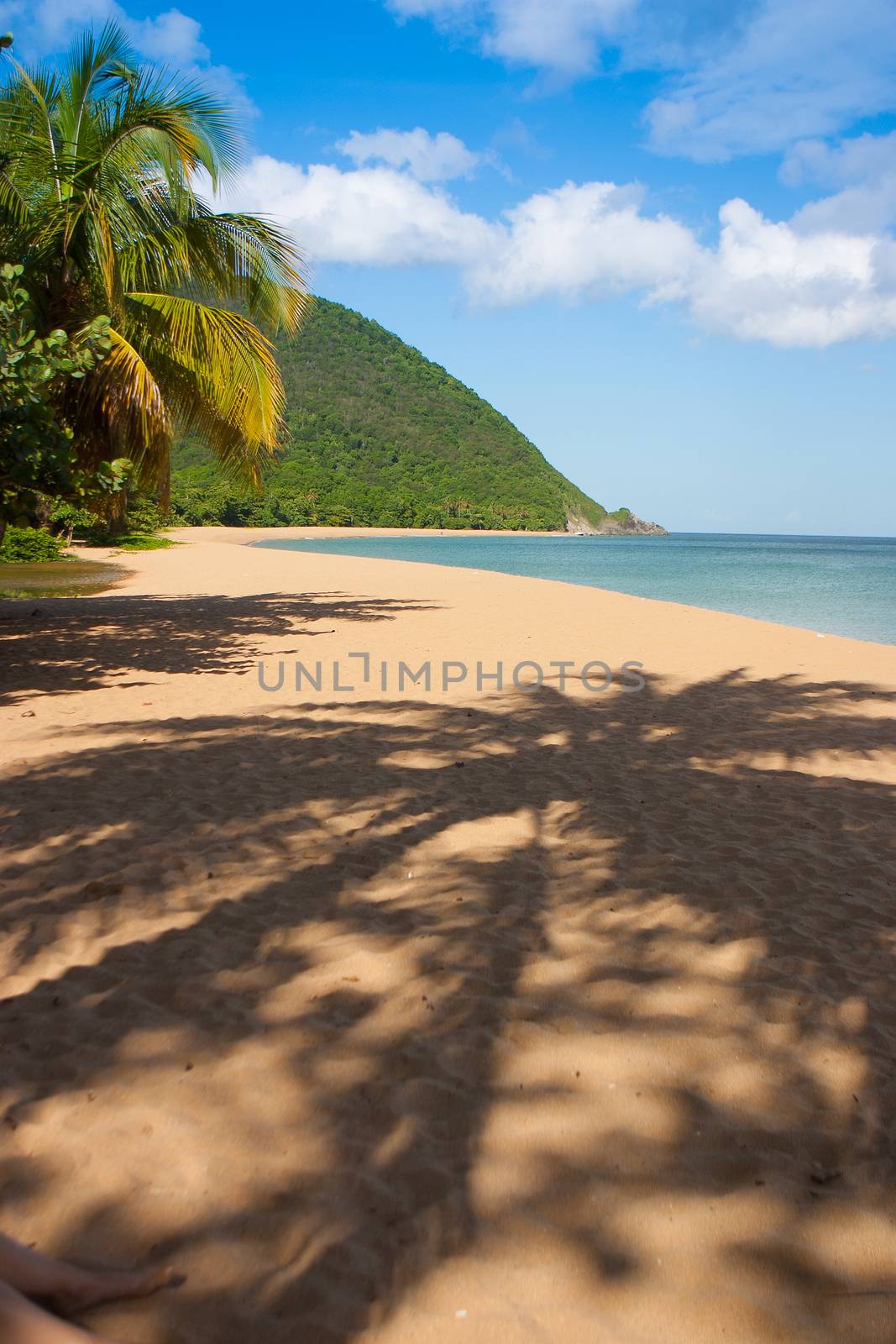 Beach of Grande Anse, Deshaies, Guadeloupe island