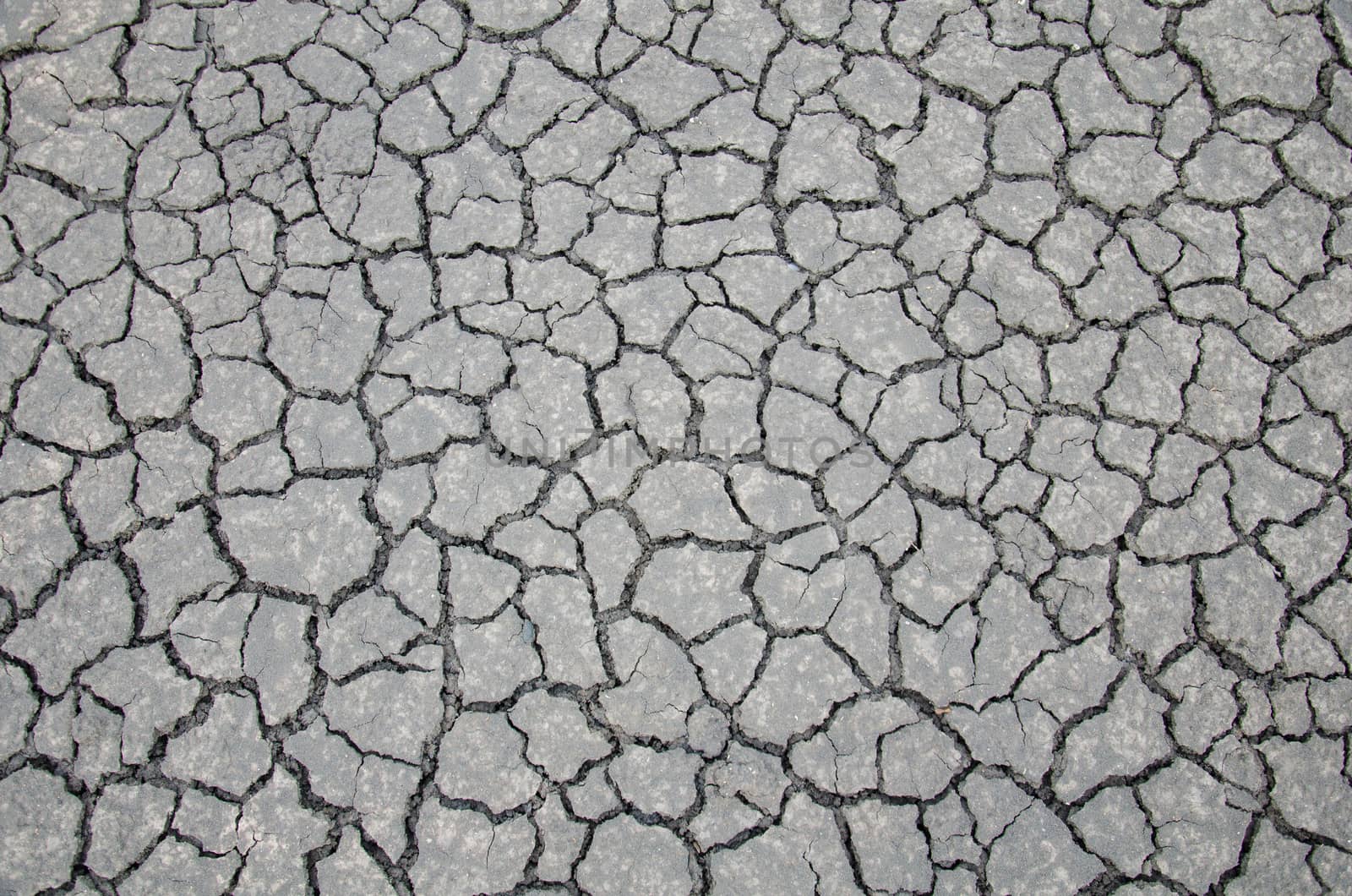 Background of soil, cracks in the dried soil in arid season.
