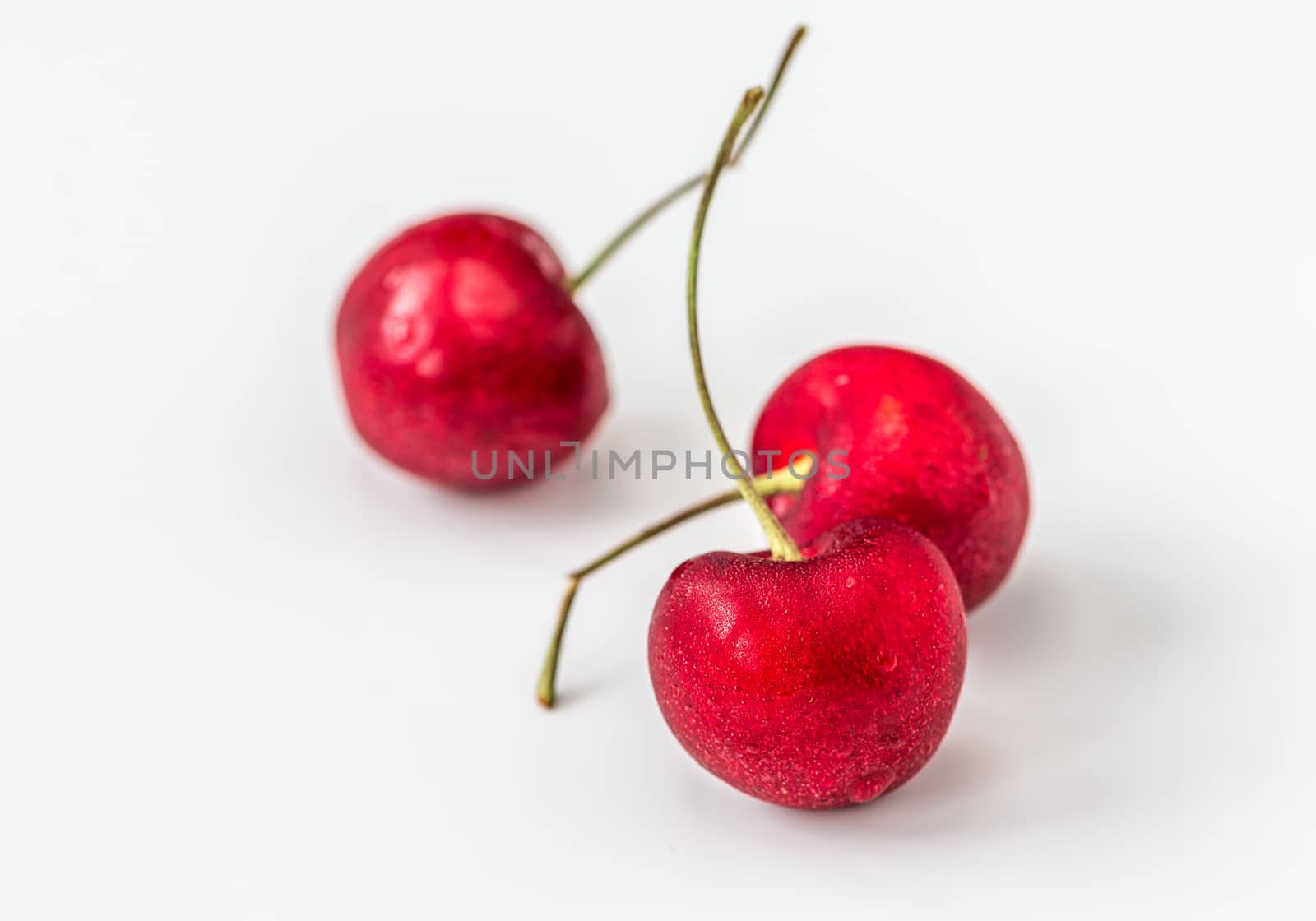 Group of fresh cherry in stuido shot