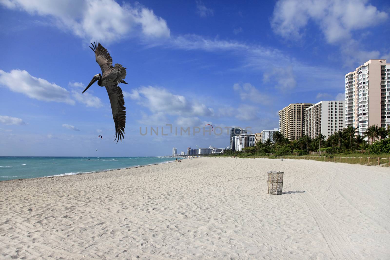 Miami, Florida - May 14, 2013: View of the South Beach shoreline 14 May 2013 in Miami, Florida