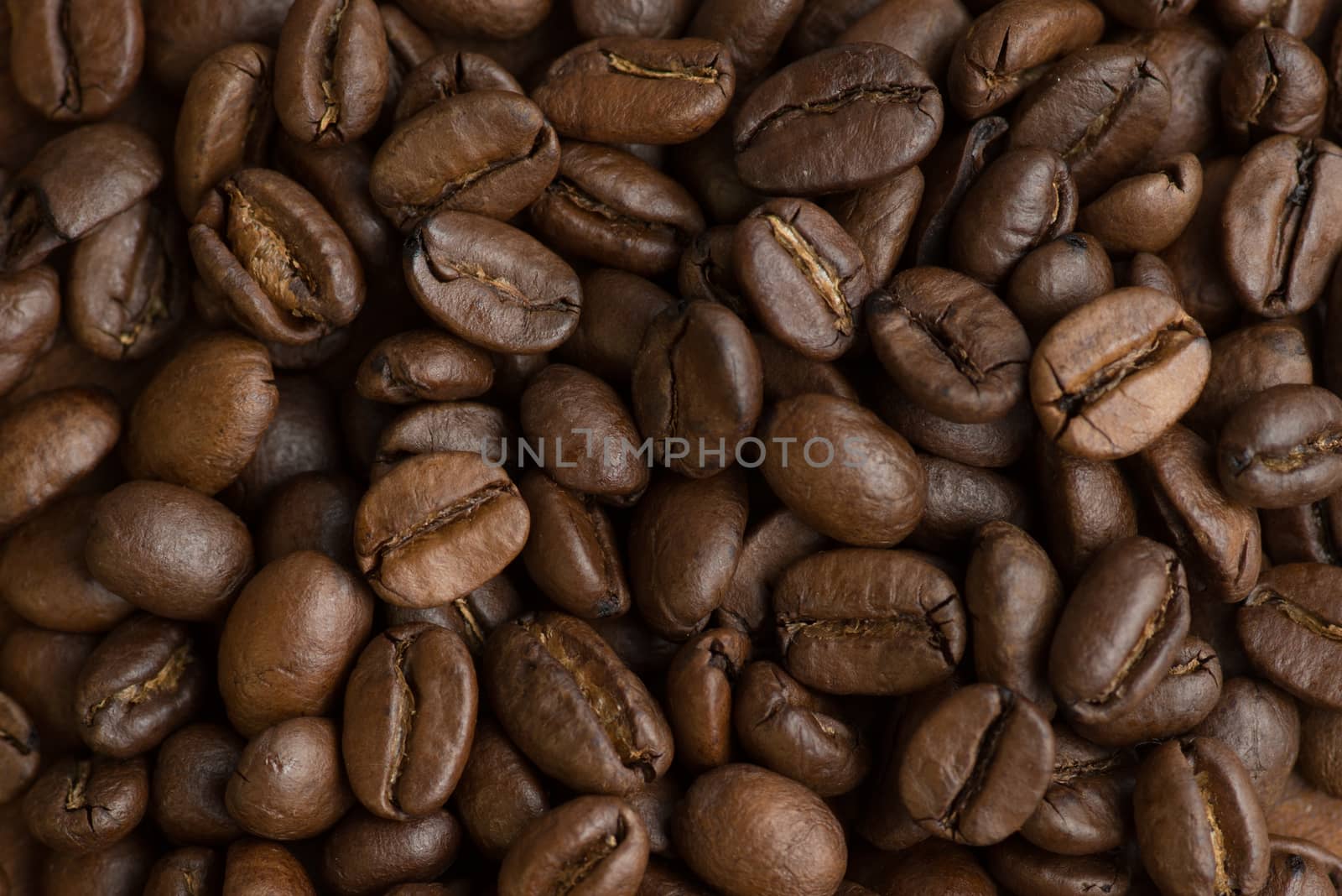 Brown coffee beans, closeup of macro coffee beans for background and texture by skrotov