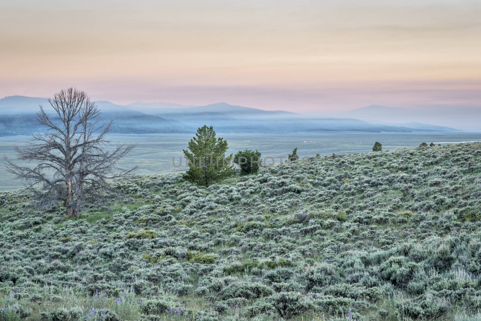 dawn over mountains covered by wildfire smoke - North Park, Colorado near Wyoming border (june 20, 2016)