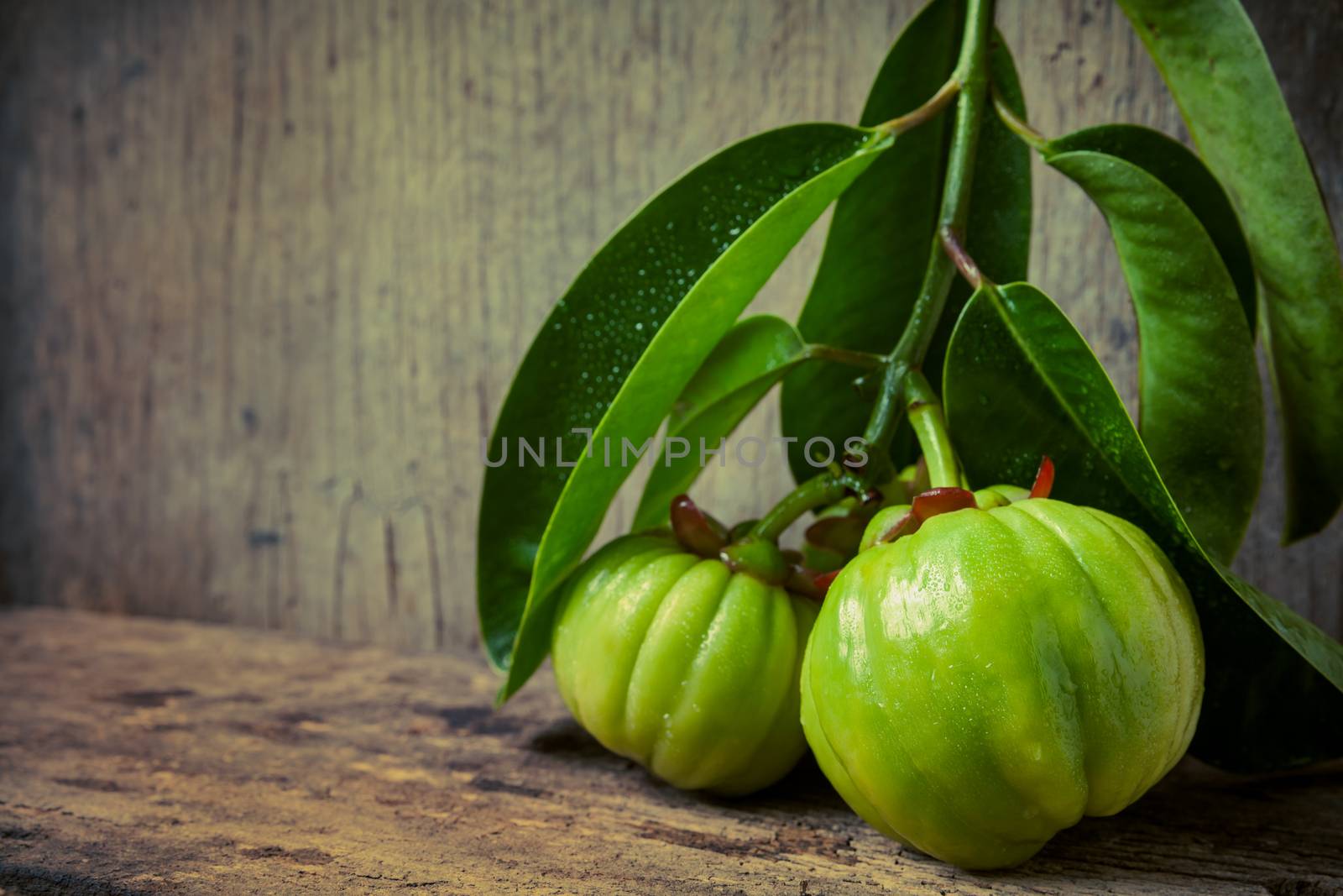 Still life garcinia atroviridis fresh fruit on old wood background. Thai herb and sour flavor lots of vitamin C. Low key picture style. Water drops on leafs. Extract as a weight loss product