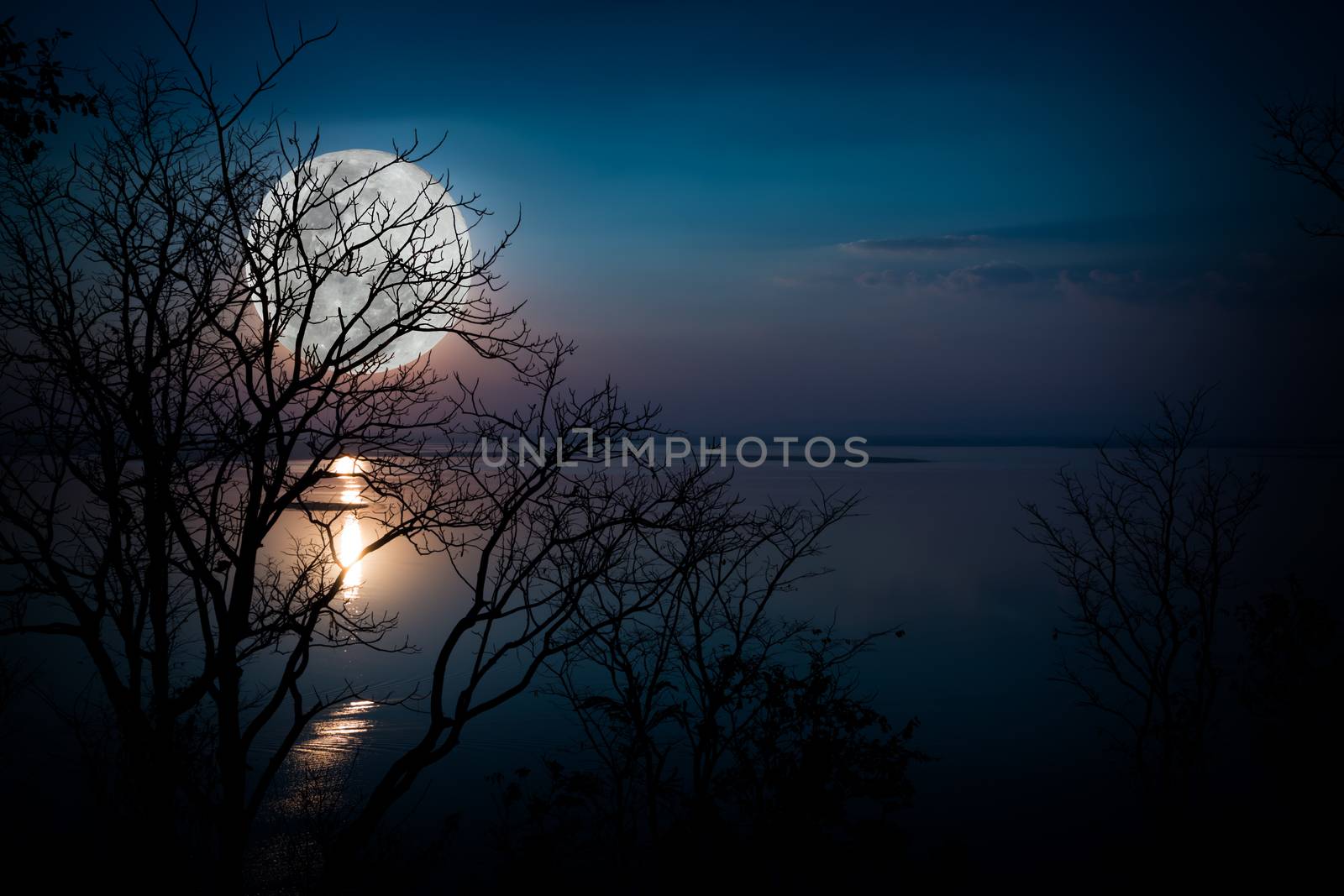Silhouettes of woods and beautiful moonrise, bright full moon wo by kdshutterman