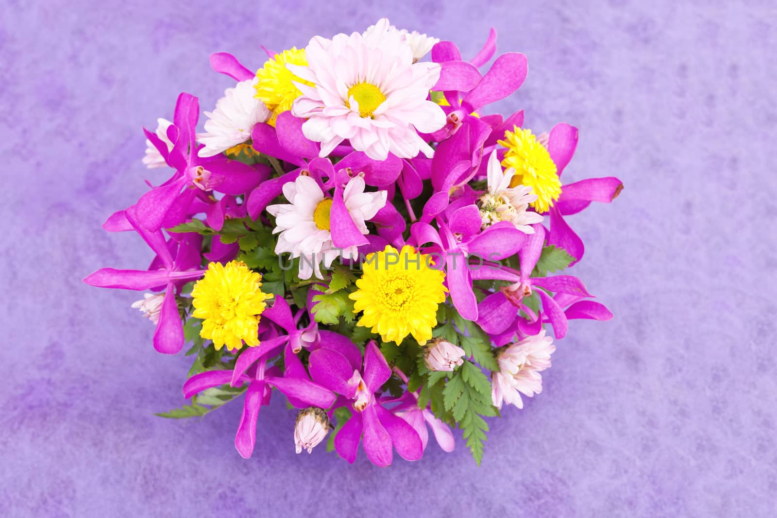 Bouquet of chrysanthemum and orchid flowers isolated on purple v by nopparats
