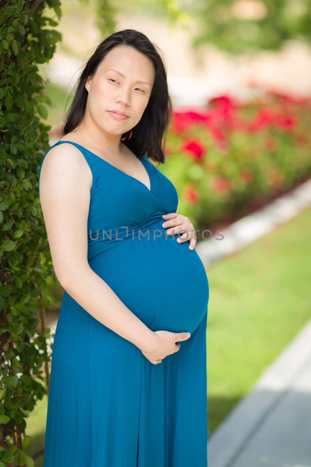 Portrait of Happy Young Pregnant Chinese Woman in the Park.