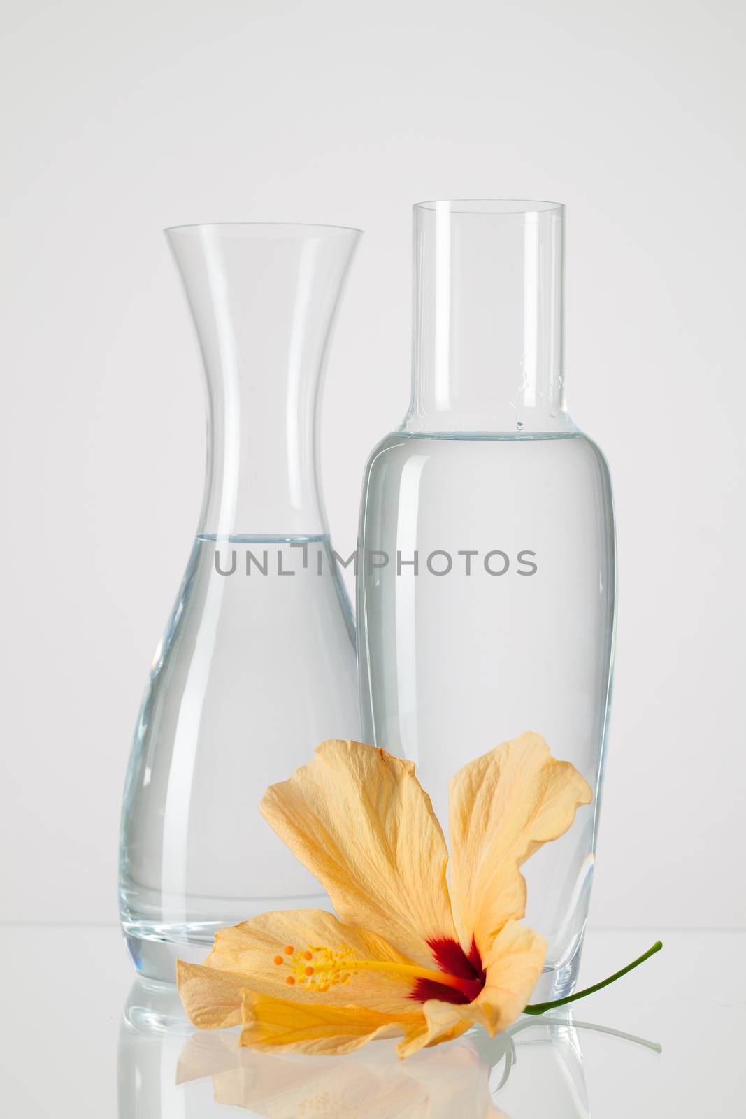 Two vases with clean water and hibiskus flower by CaptureLight