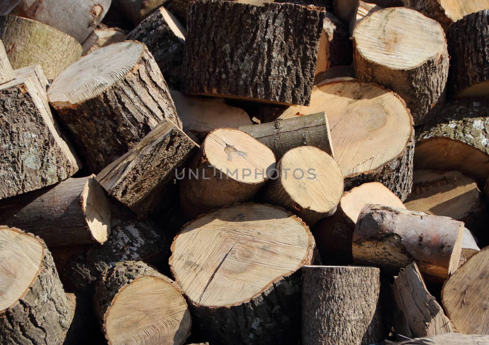 Pile of Chopped Cut Trunk Firewood in disorder by HoleInTheBox