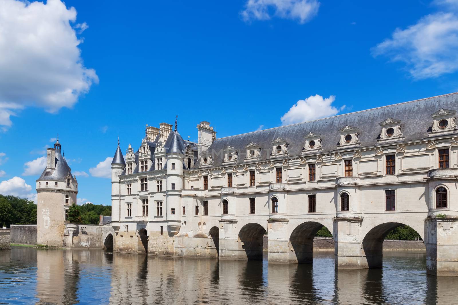 Chenonceau castle in the Loire Valley, France by anikasalsera