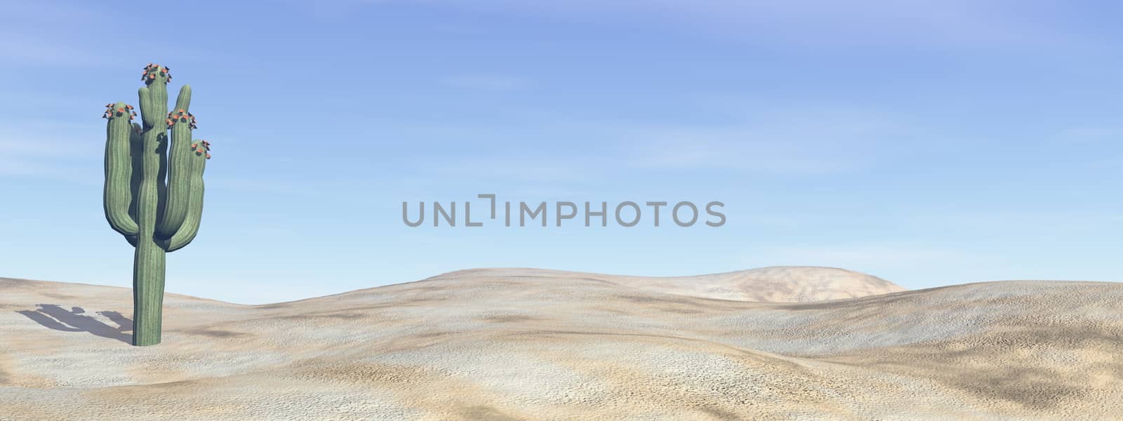 Cactus in the desert - 3D render by Elenaphotos21