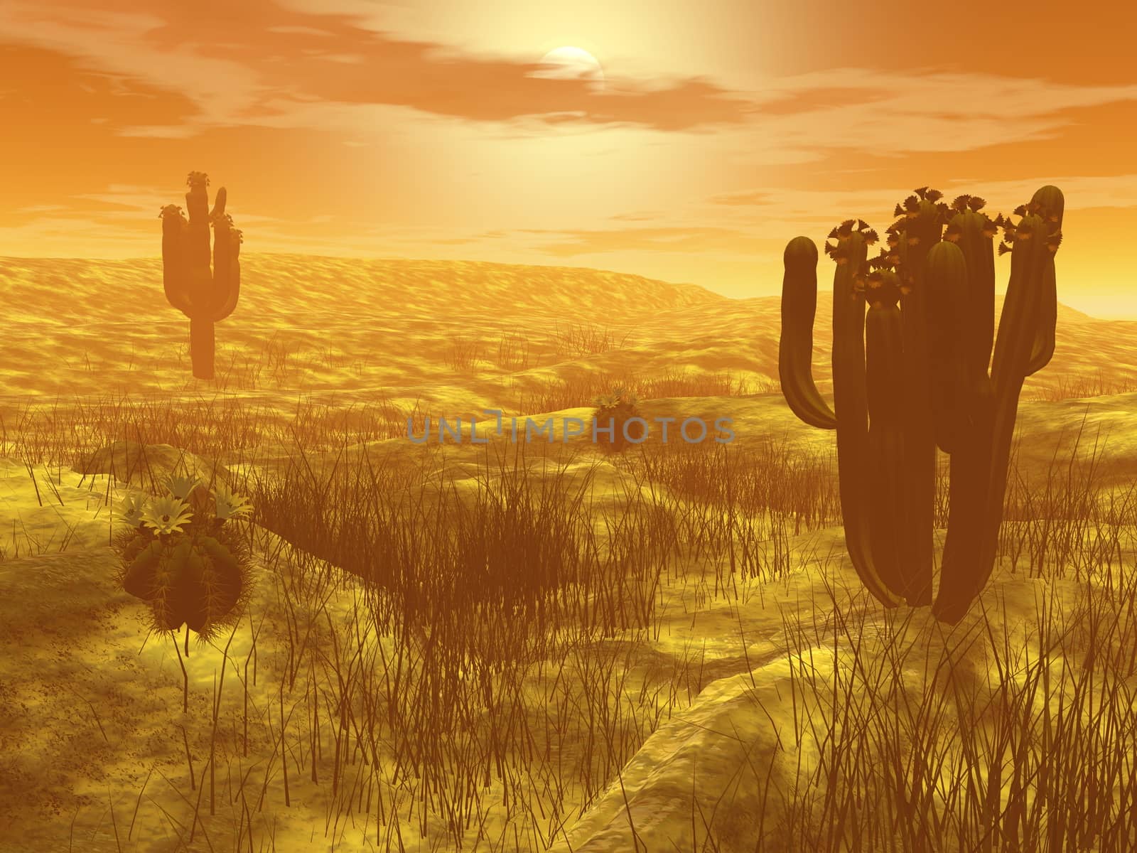 Cactus in the desert - 3D render by Elenaphotos21