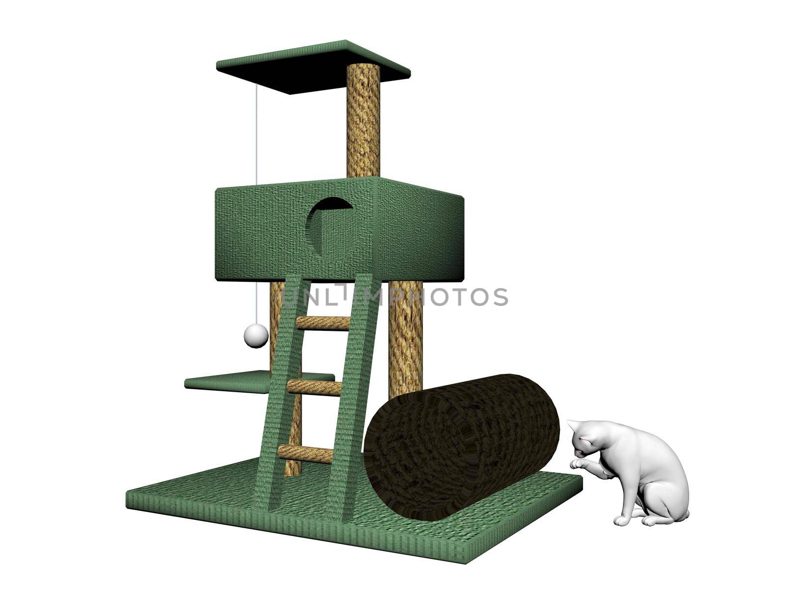 cat tree with a white cat on it isolated in white background