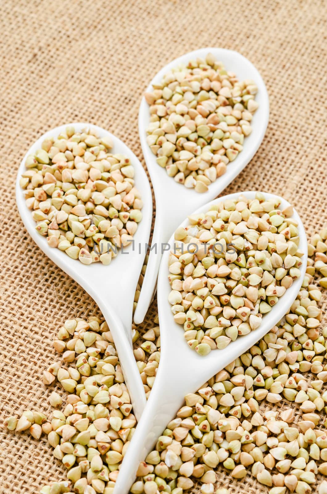 Buckwheat groats in white spoons on sack background.