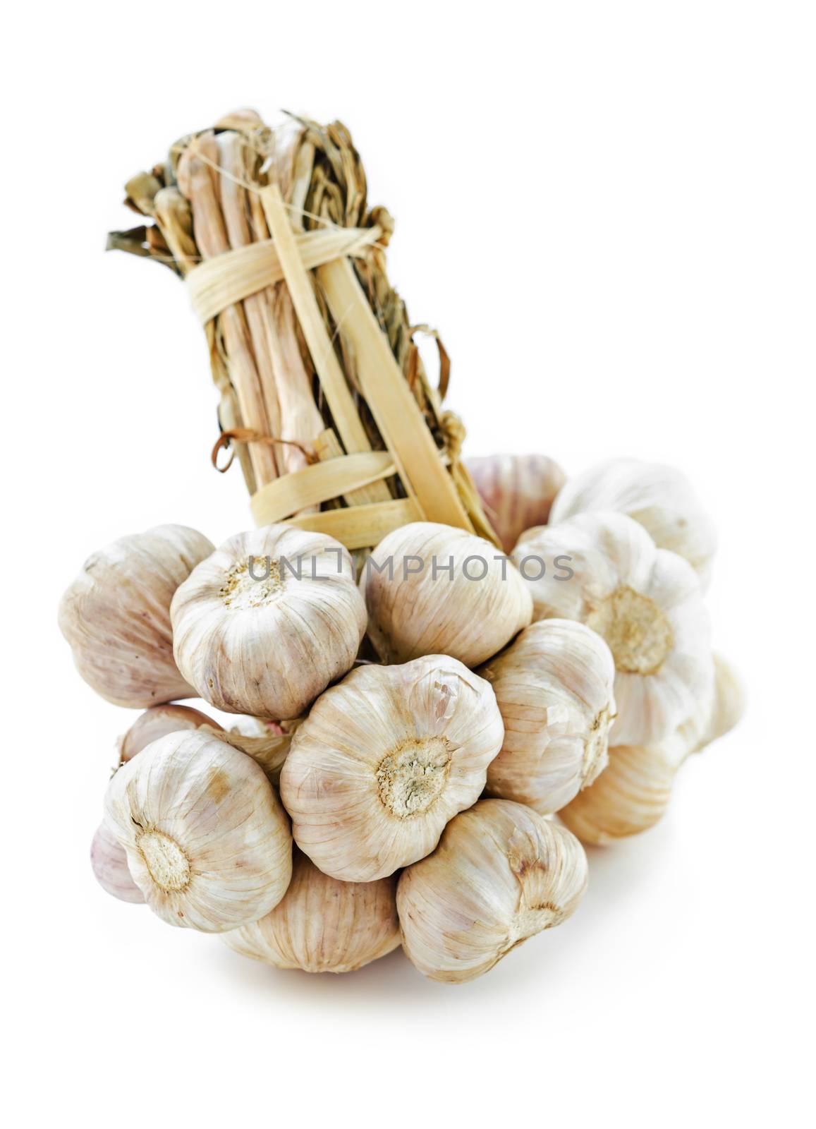 Bundle of garlic isolated on white background