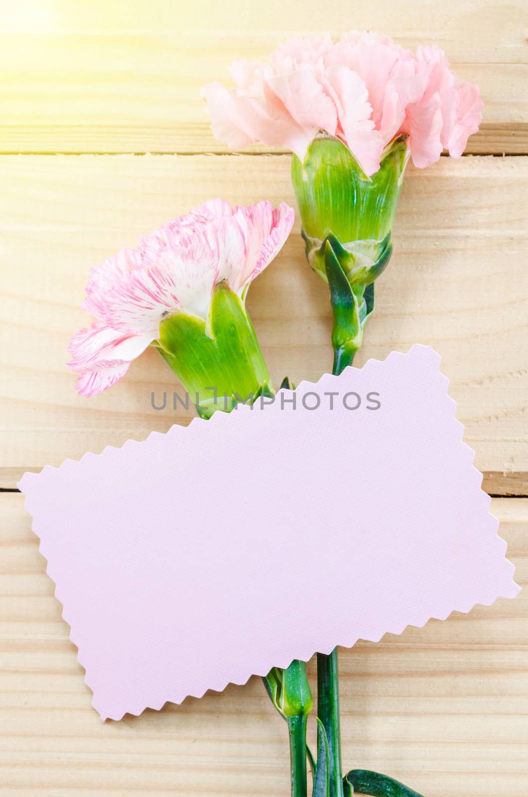 Blank greeting card with Carnation flowers on wooden background, Ready for your text or message.