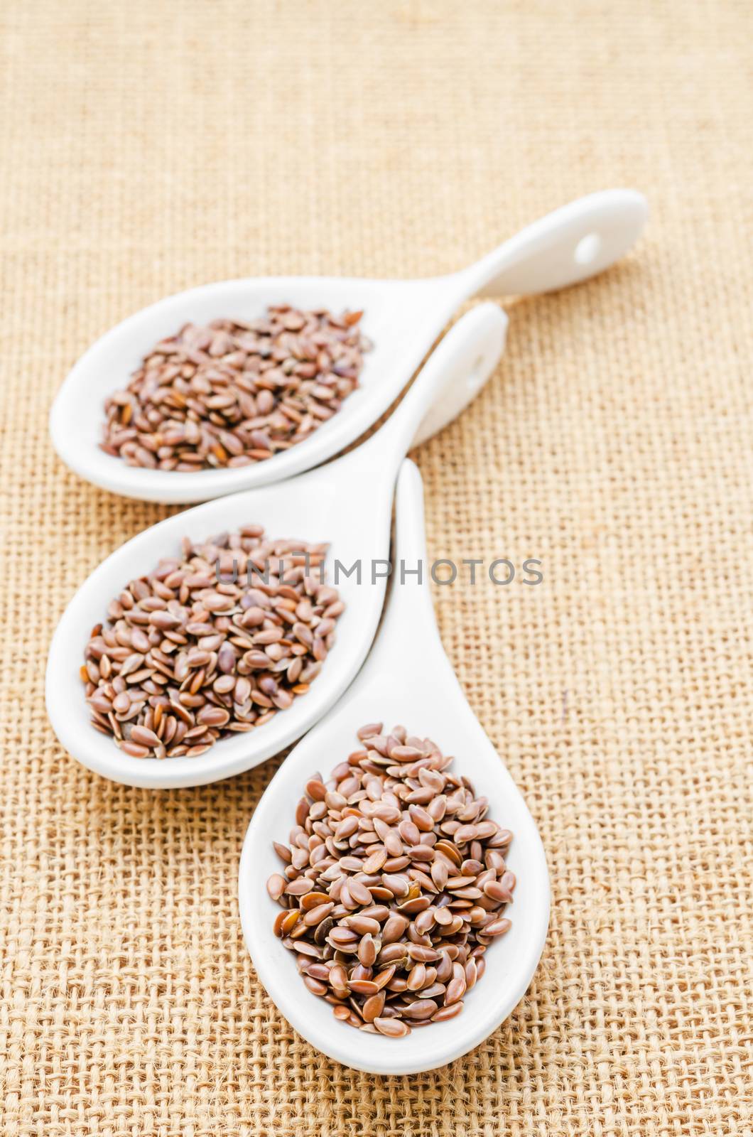 Brown flax seeds or linseed. by Gamjai