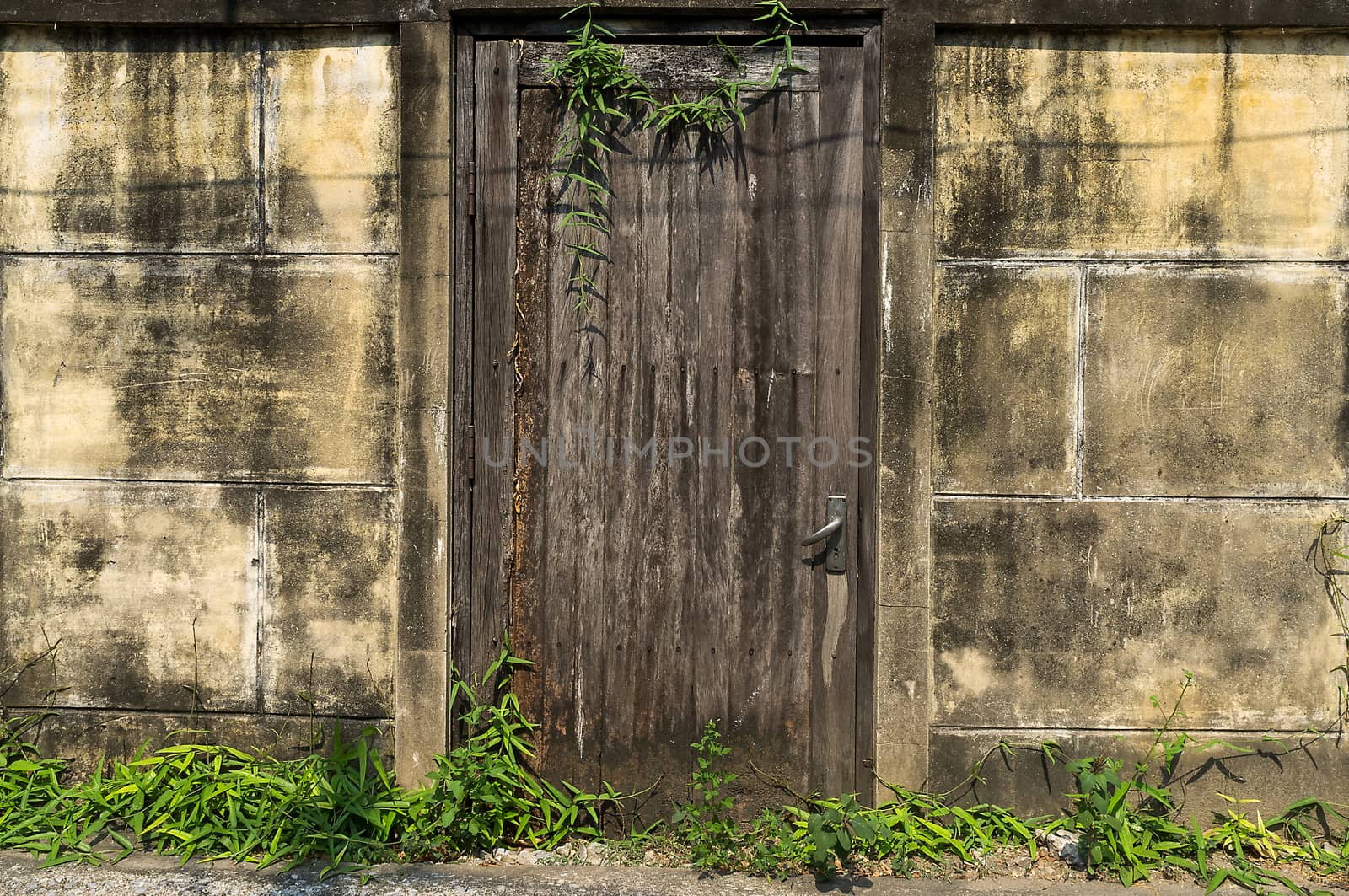 Old wooden door with brick wall texture background and grass.