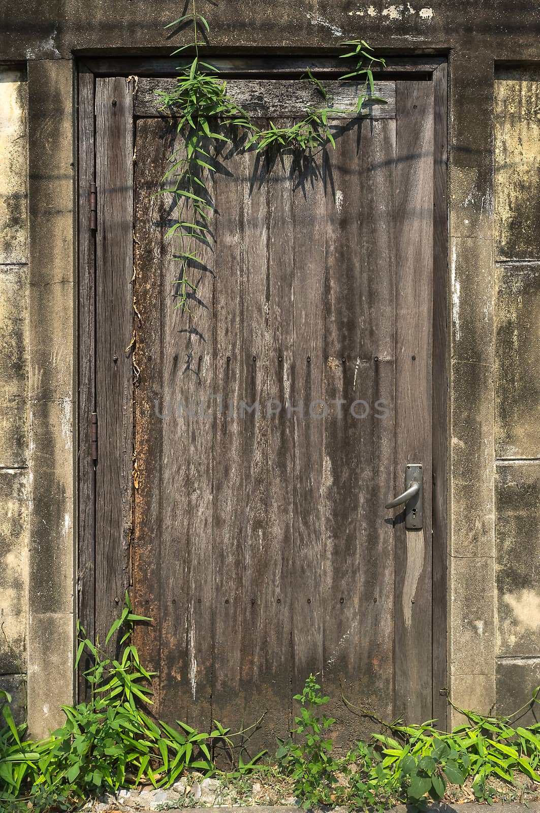 Old wooden door with brick wall texture background and grass.