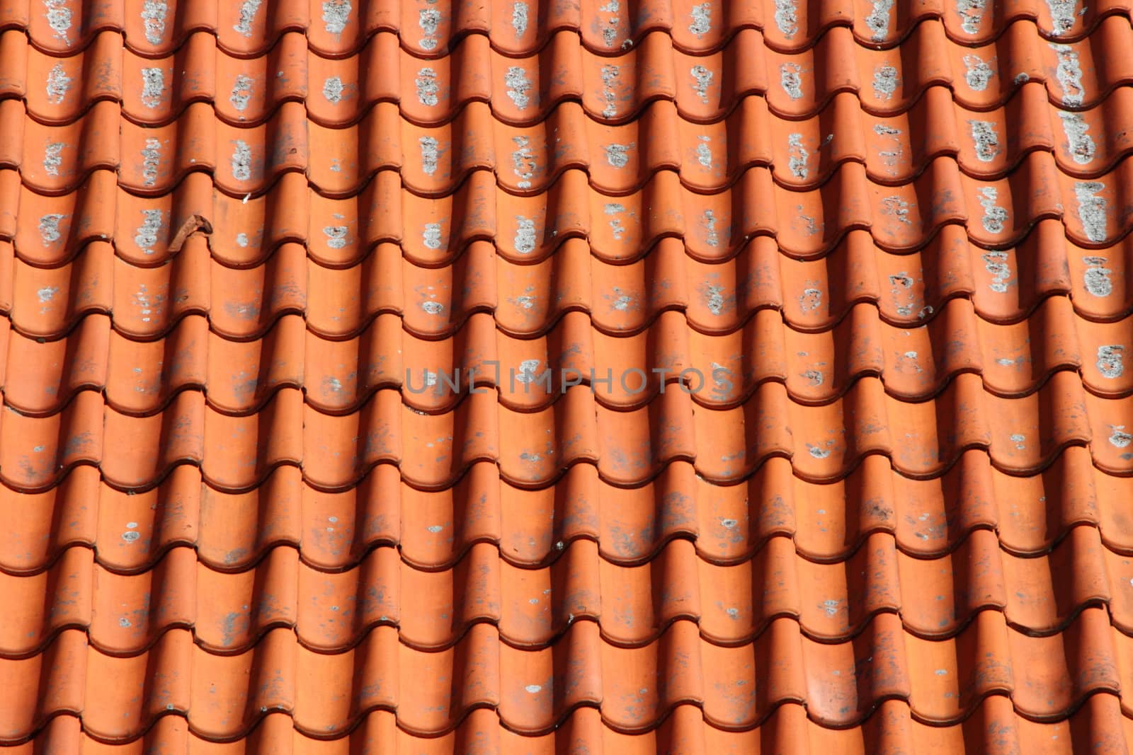 Red Clay Tile Roof on Old Farm House in Horizontal Perspective