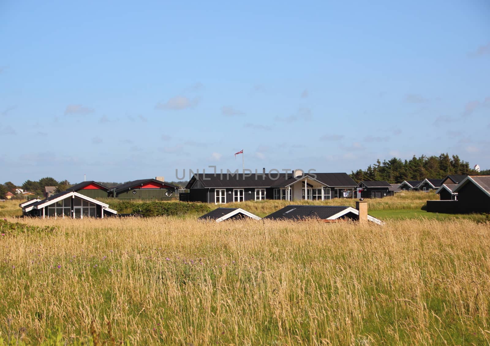Danish Summer Houses in Green Hills with Blue Sky