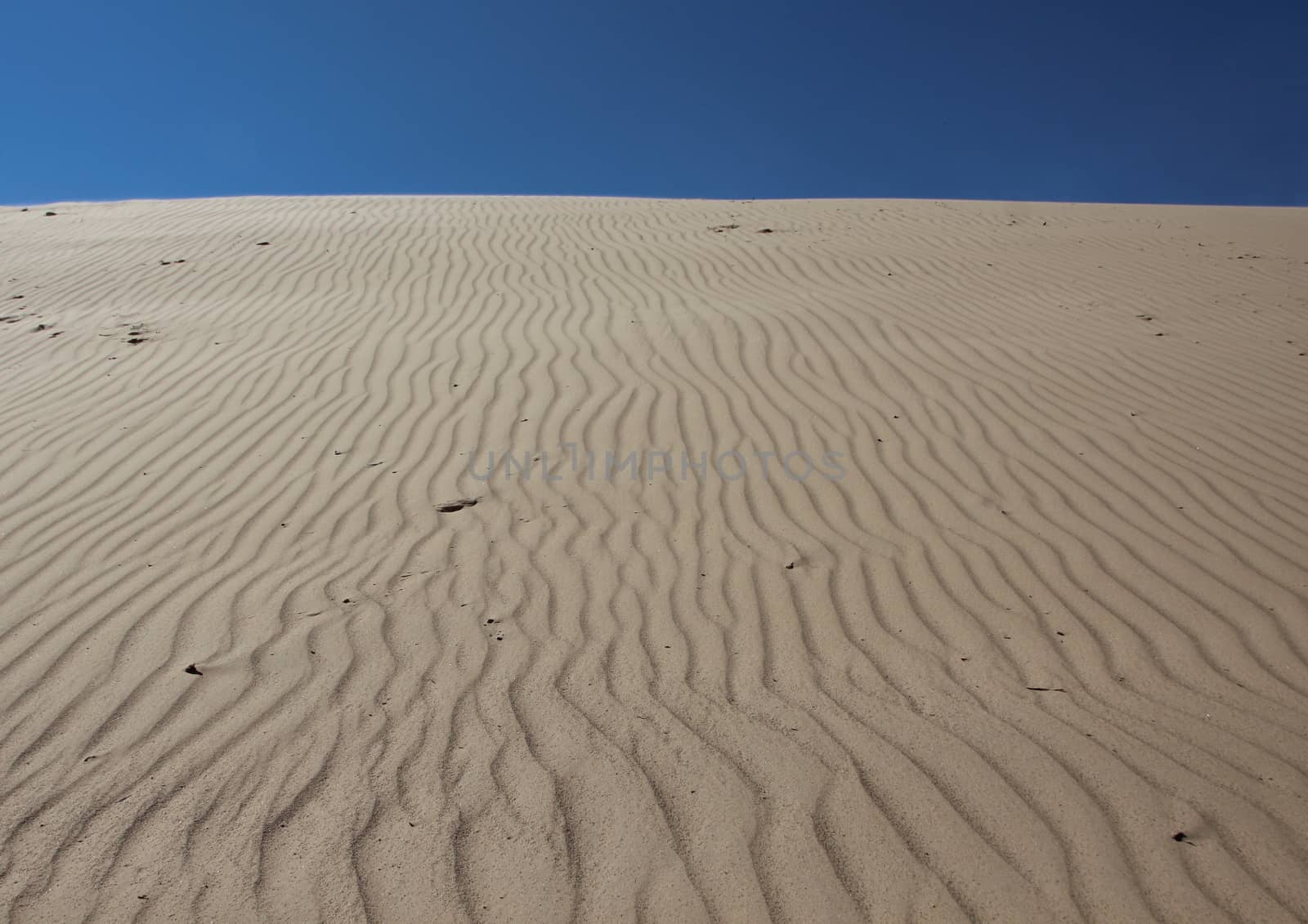 Sand Dune with Wind Pattern and Empty Blue Sky