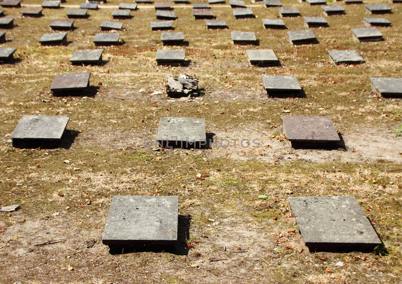 Birdseye of Headstones at Ancient Graveyard Christiansfeld