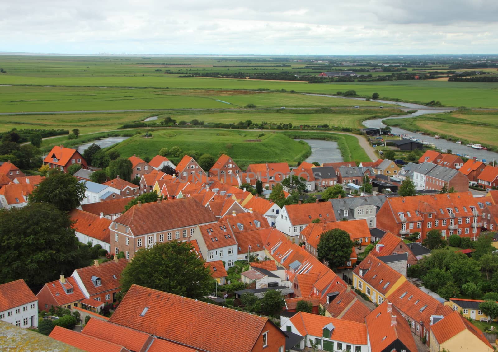 Aerial Perspective of Red Roof Urban Settlement with Green Fields