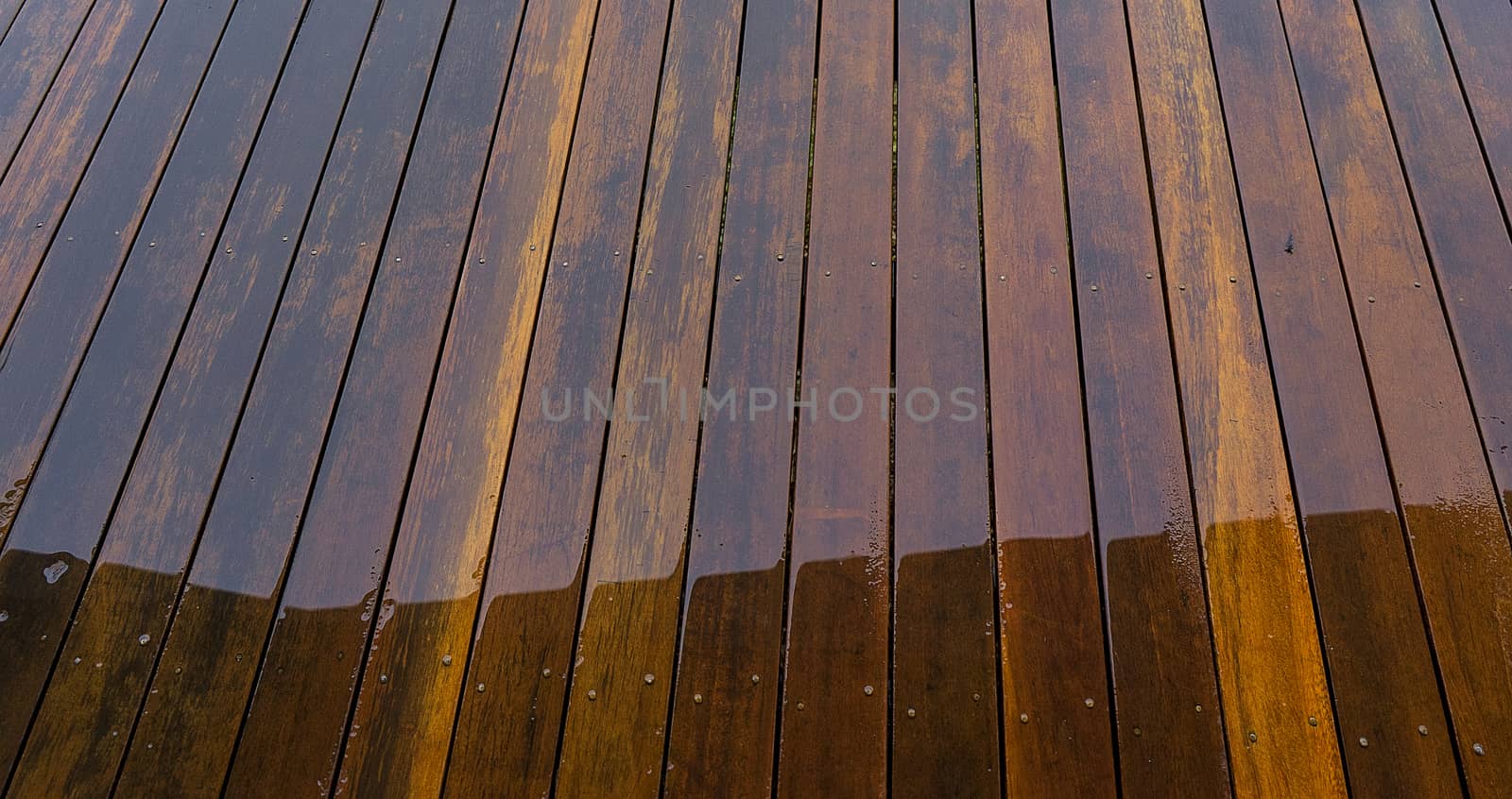 Wet timber floorboards background by sherj