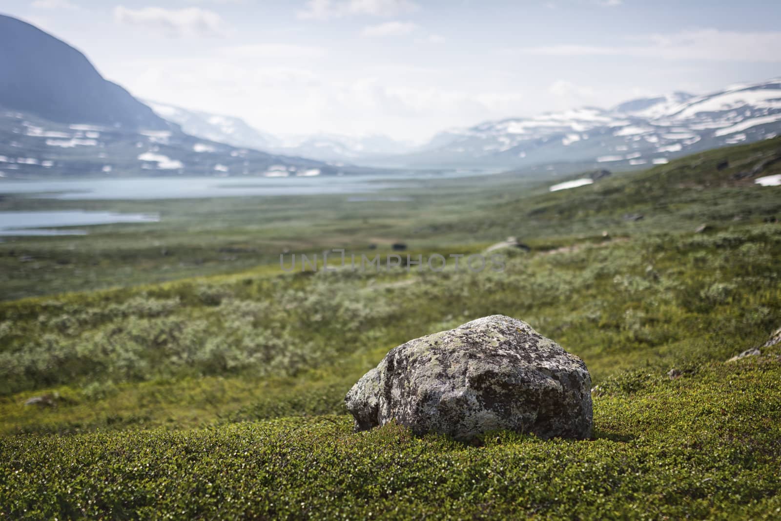 Tundra landscape in northern Lapland, Sweden