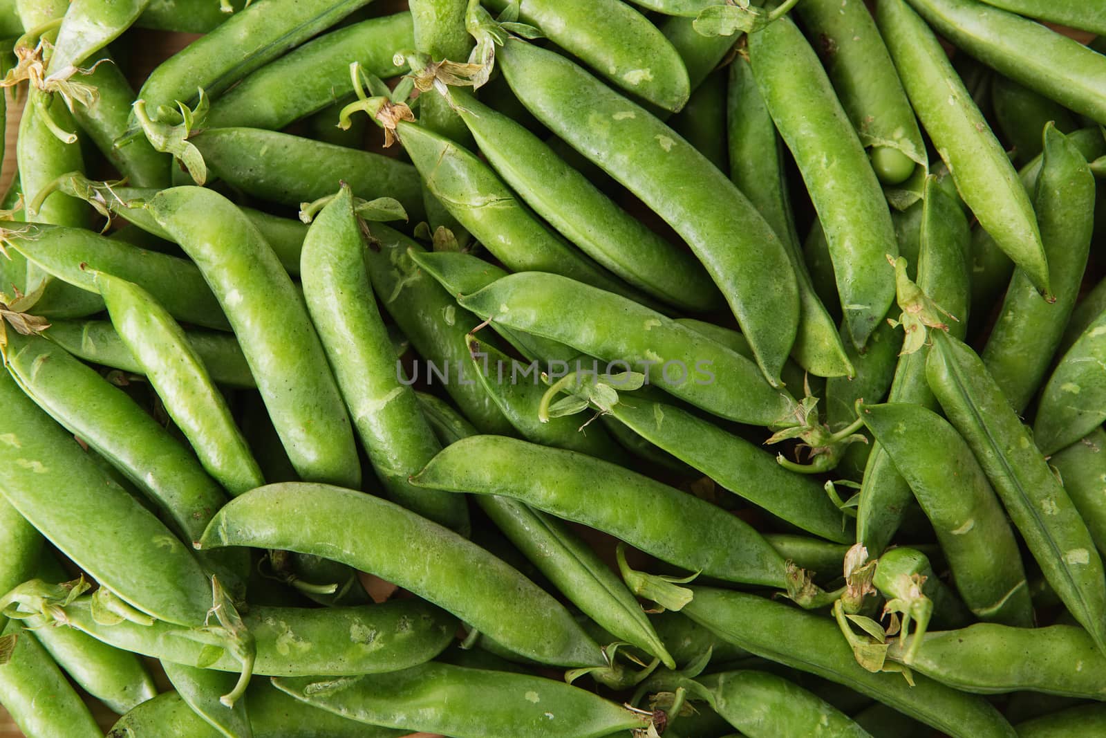 green peas in pods freshly picked on wood. Some green peas. Fresh green peas. green pods with peas as background.