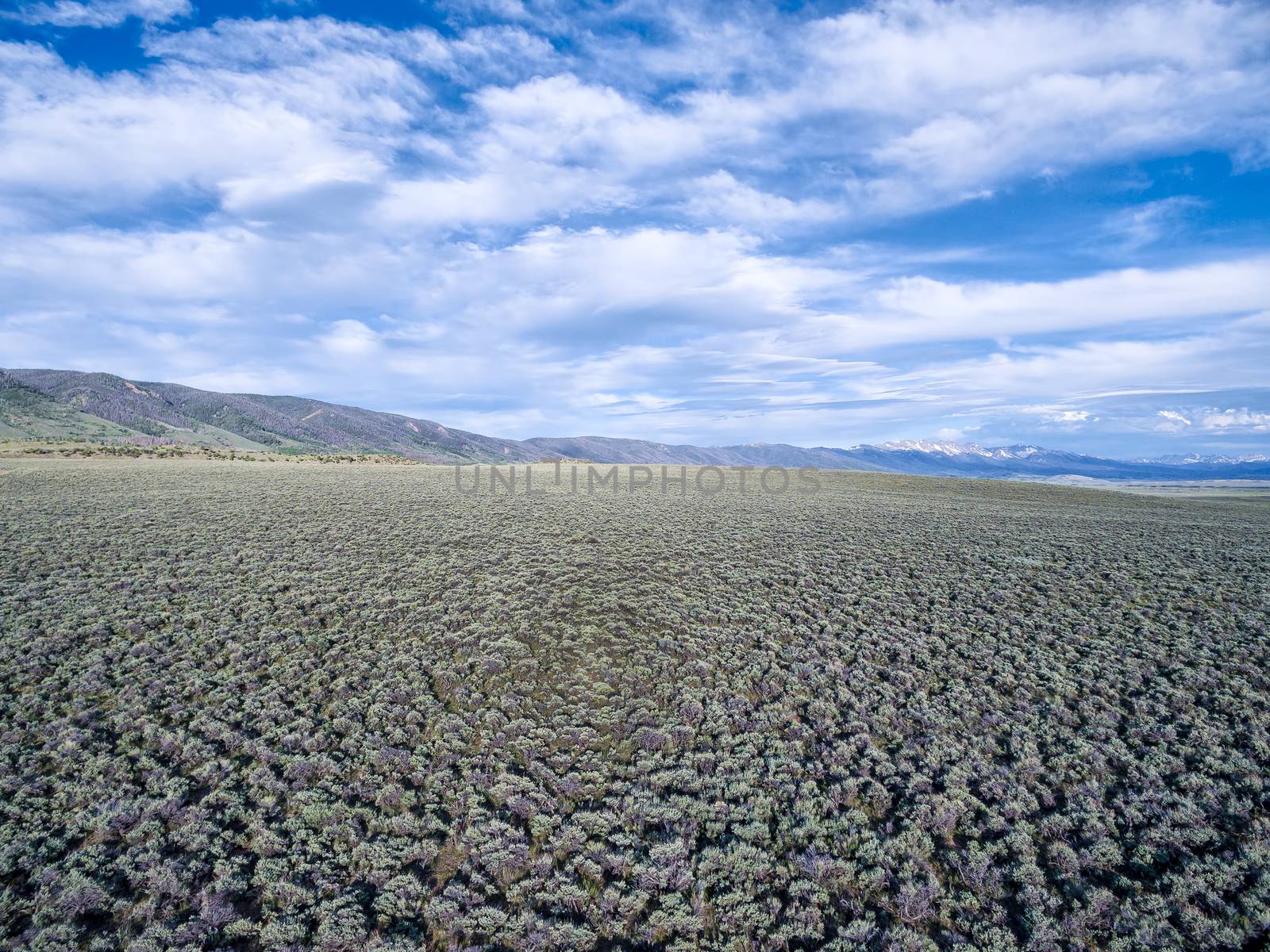 field of sagebrush aerial view - North Park, Colorado at foothills of Medicine Bow Mountains