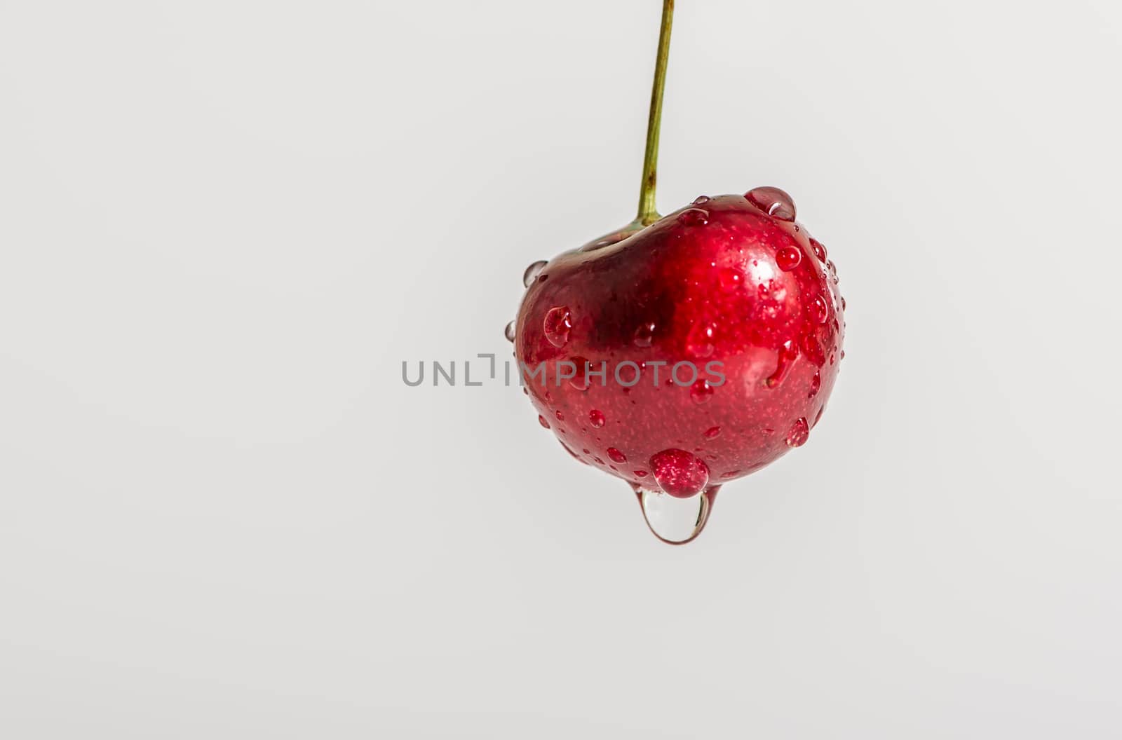 Macro of one beautiful cherry