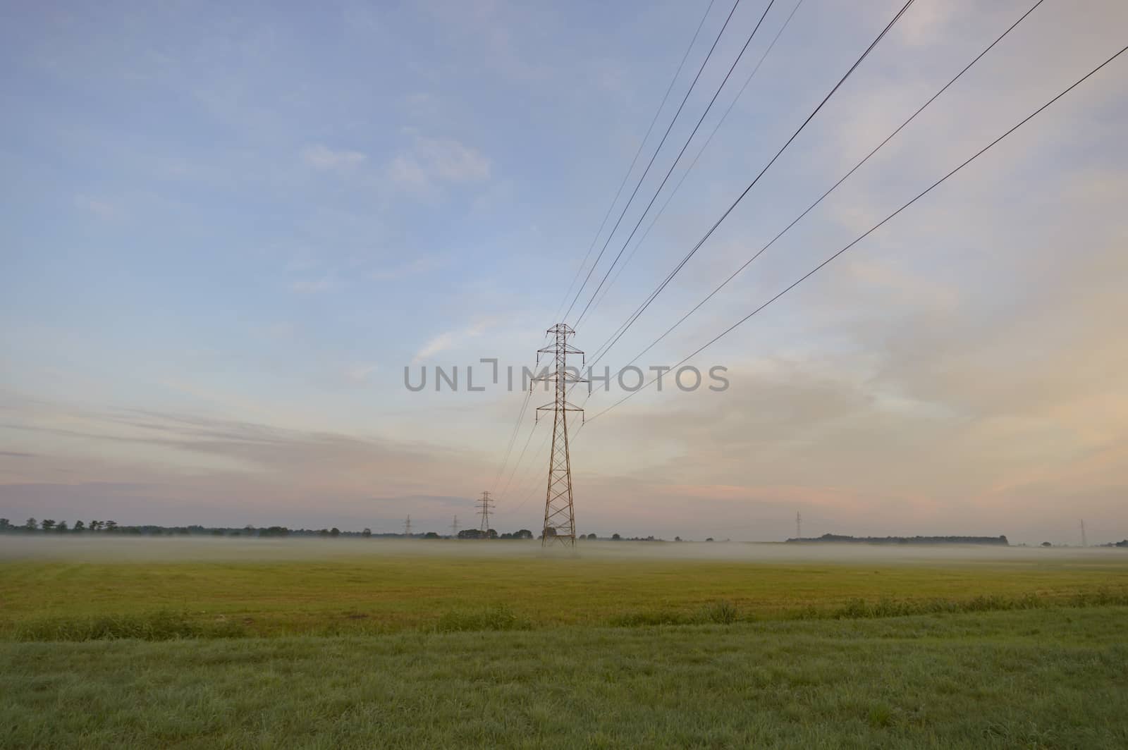 natural green colorful rural meadow, nature series