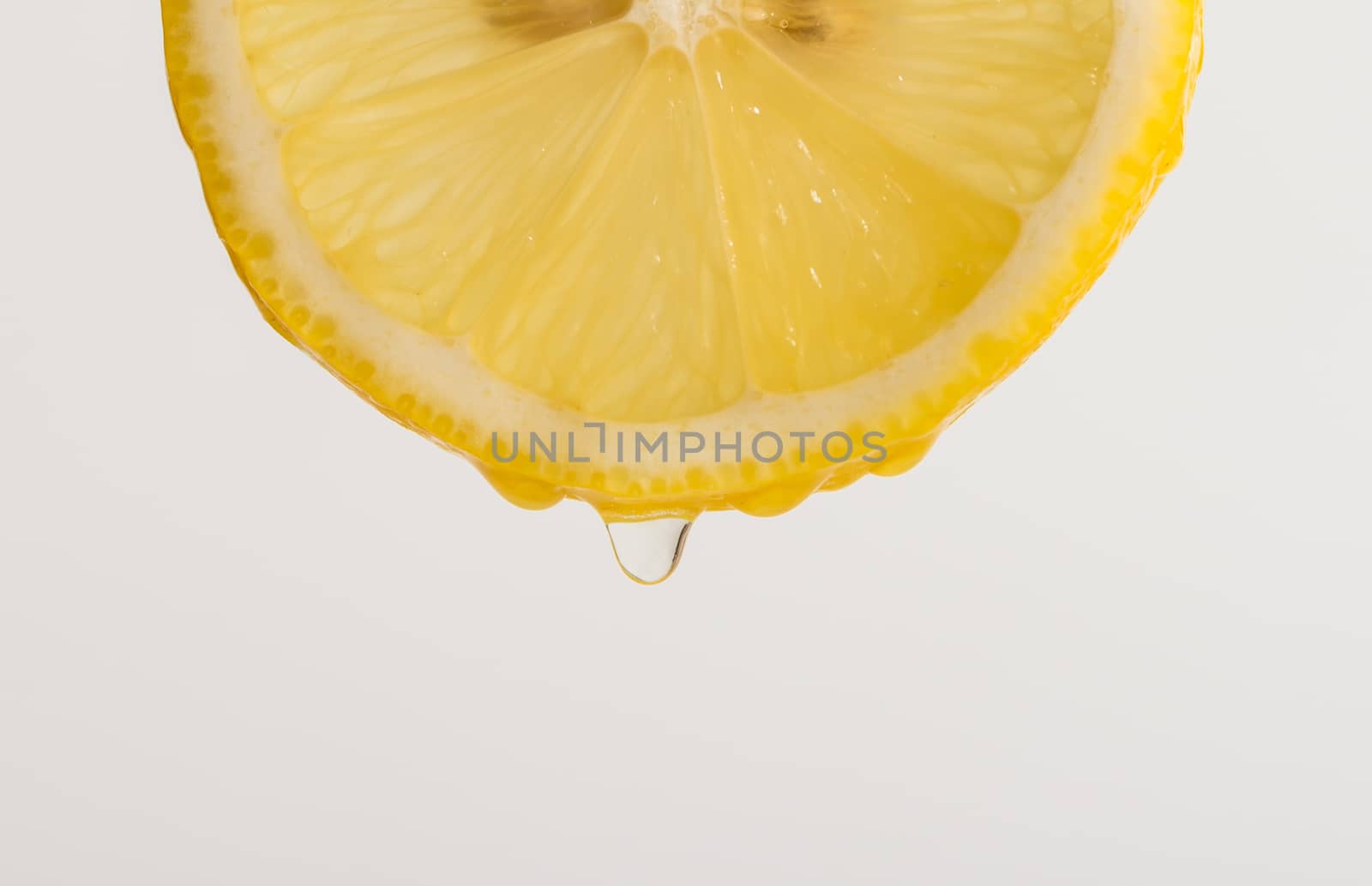 Macro of one beautiful slice lime