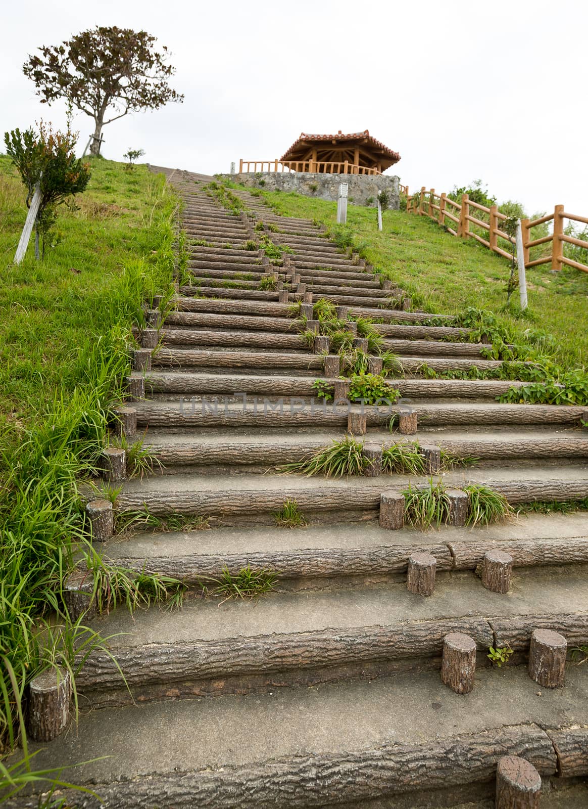 Wooden staircase leading on old mound by leungchopan